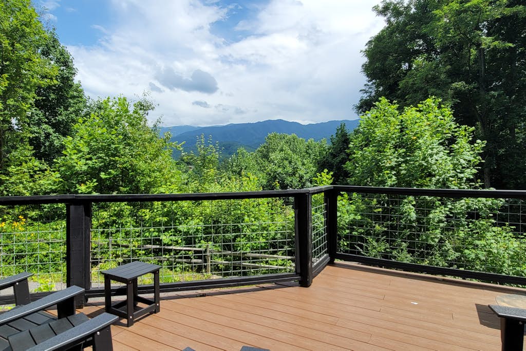 View 6
