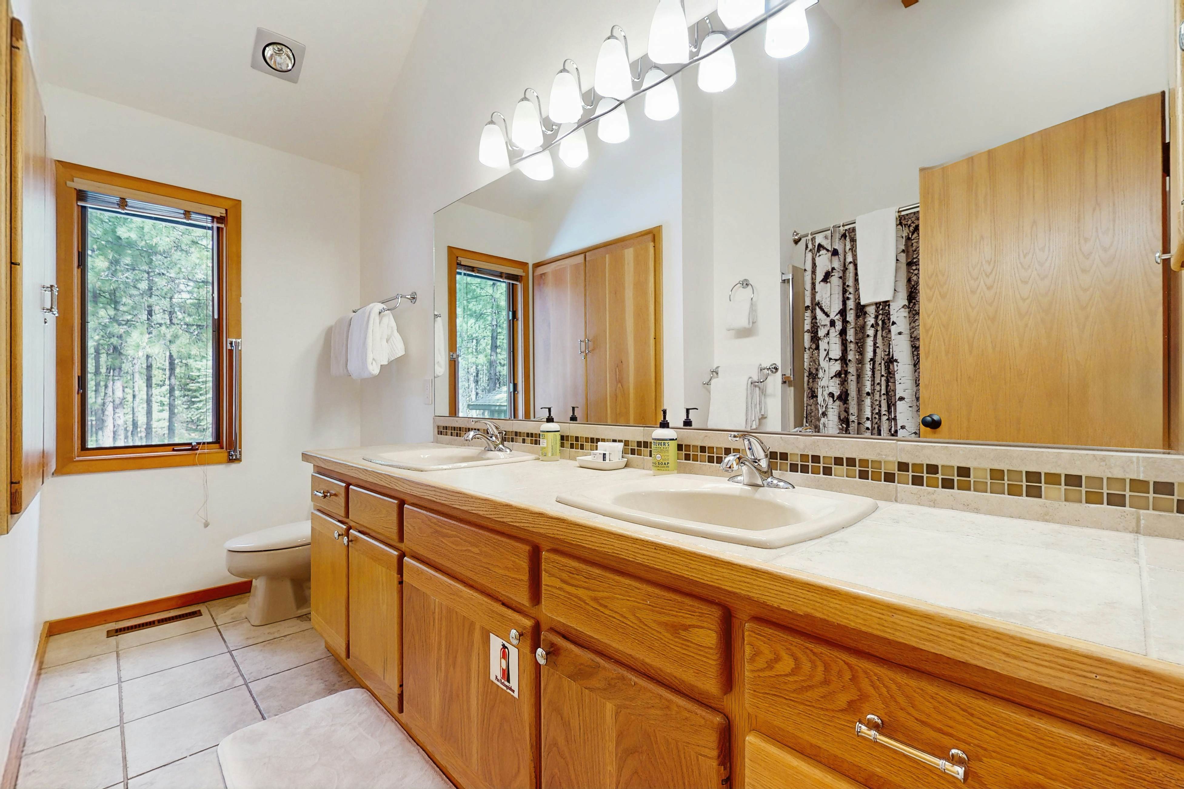 Forest Escape - GM 428