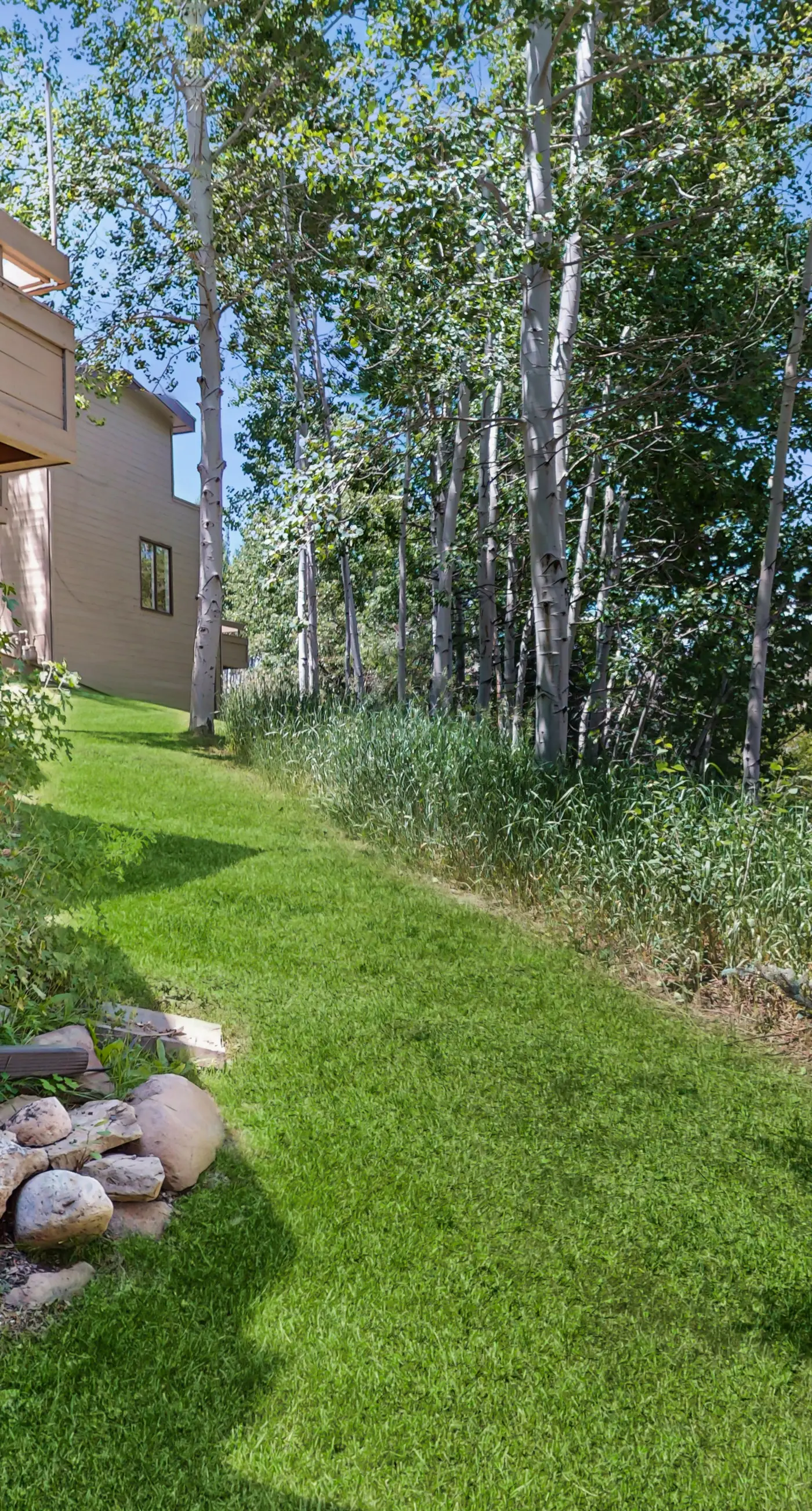 Alpine Serenity Haven