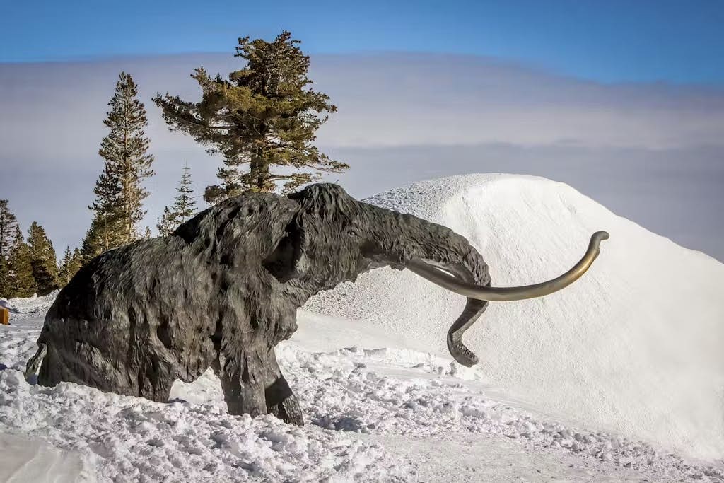 Mammoth View Villas 46