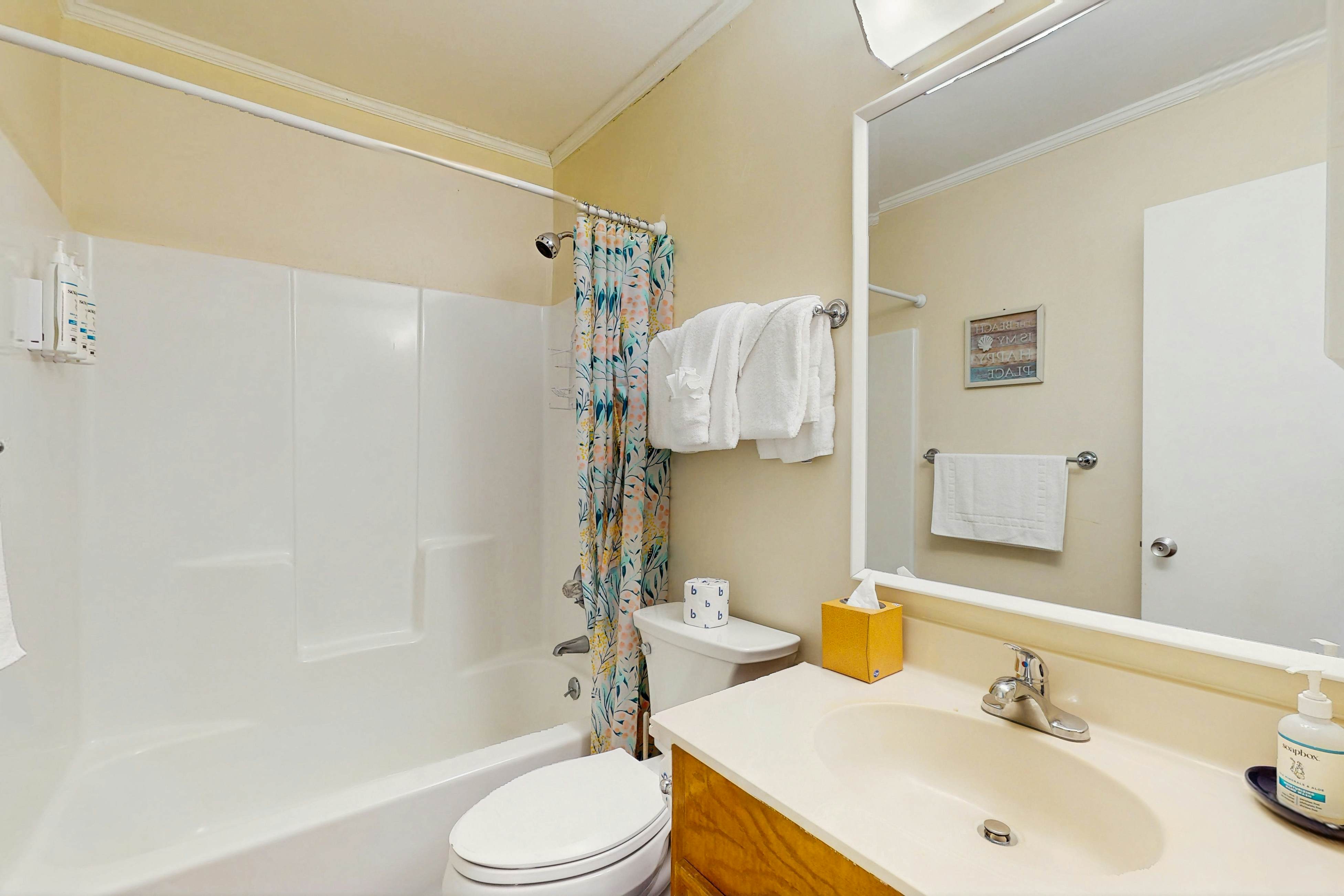 Pelicans Watch 106 On the Beach