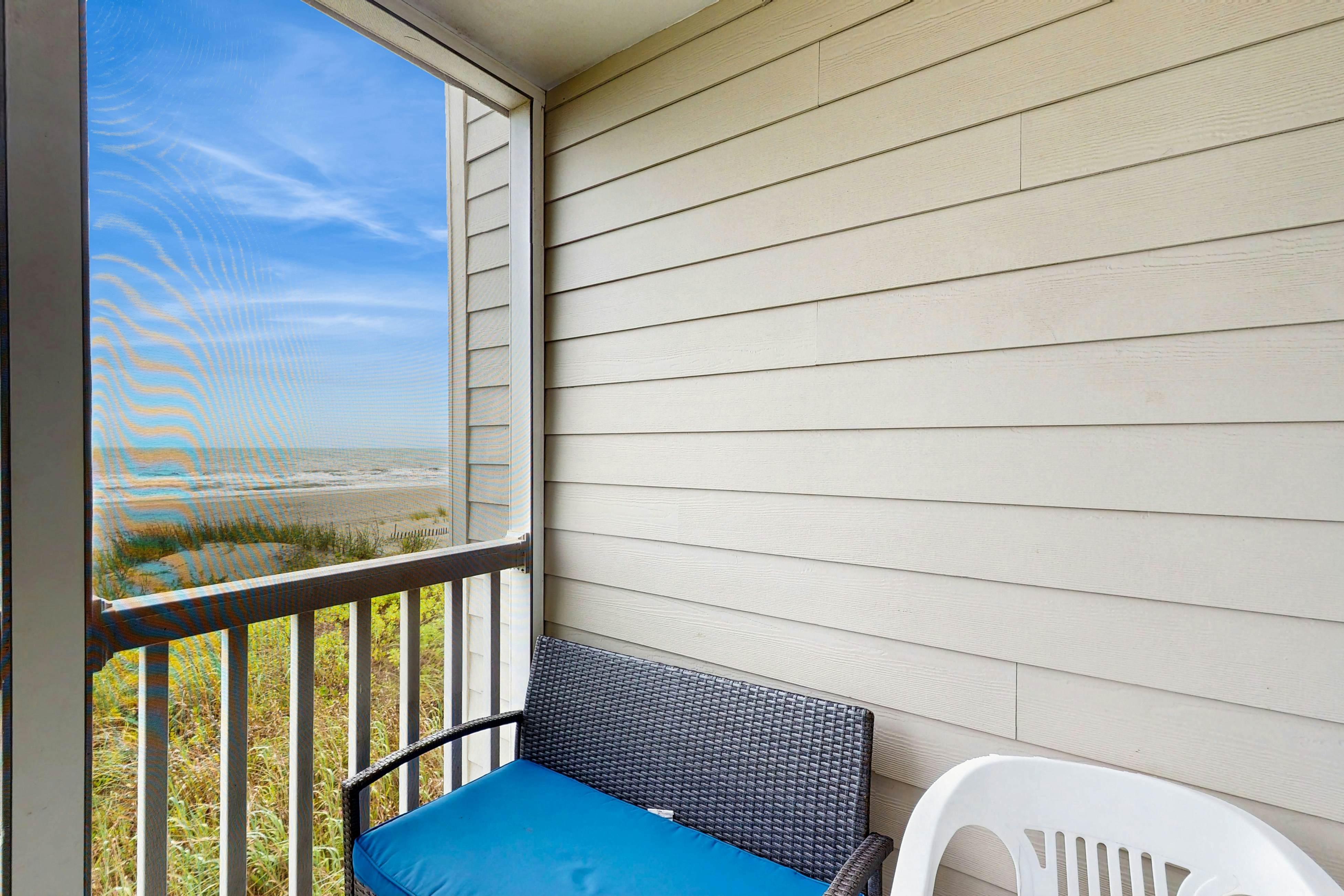 Pelicans Watch 106 On the Beach