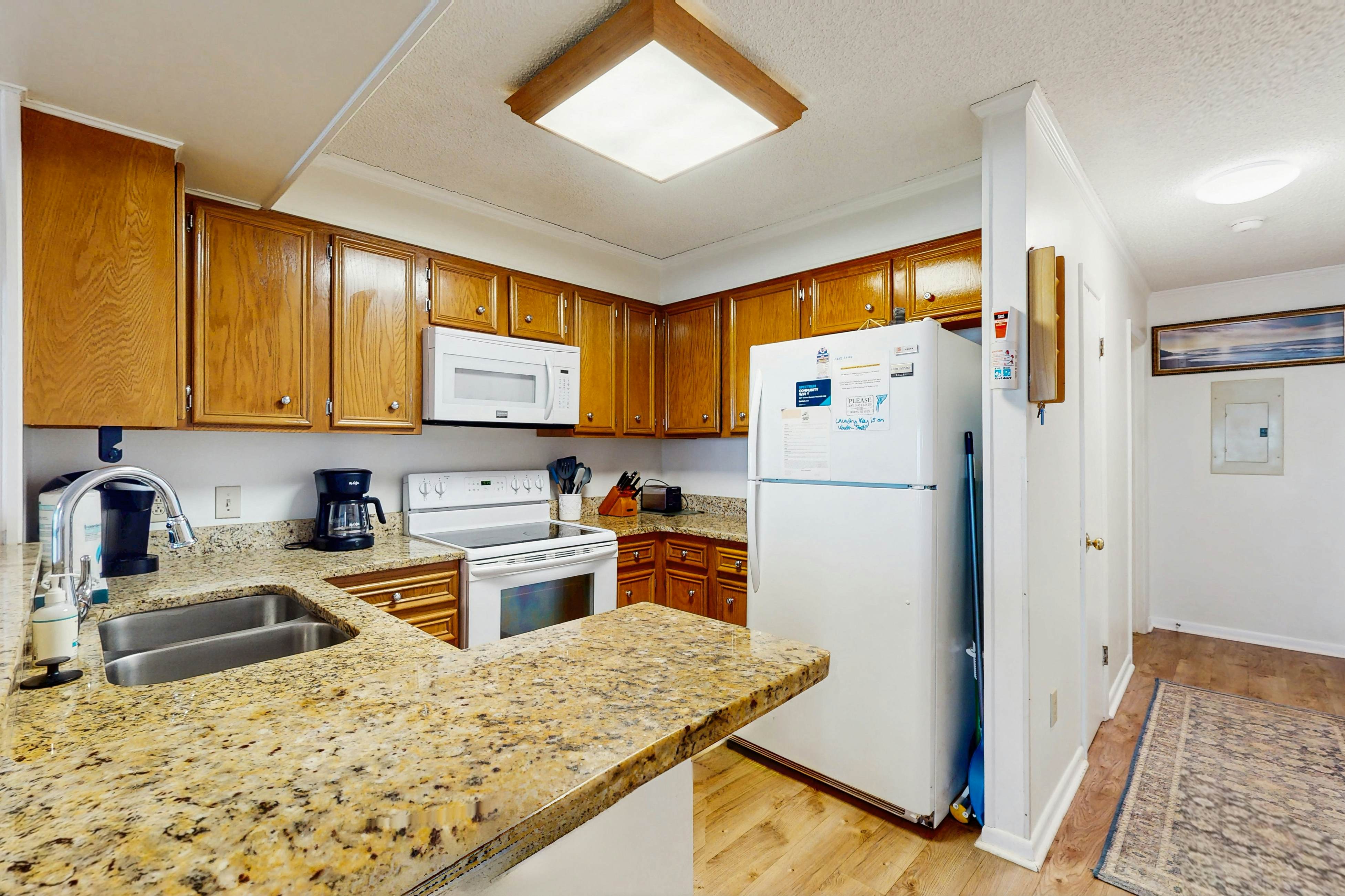 Pelicans Watch 106 On the Beach