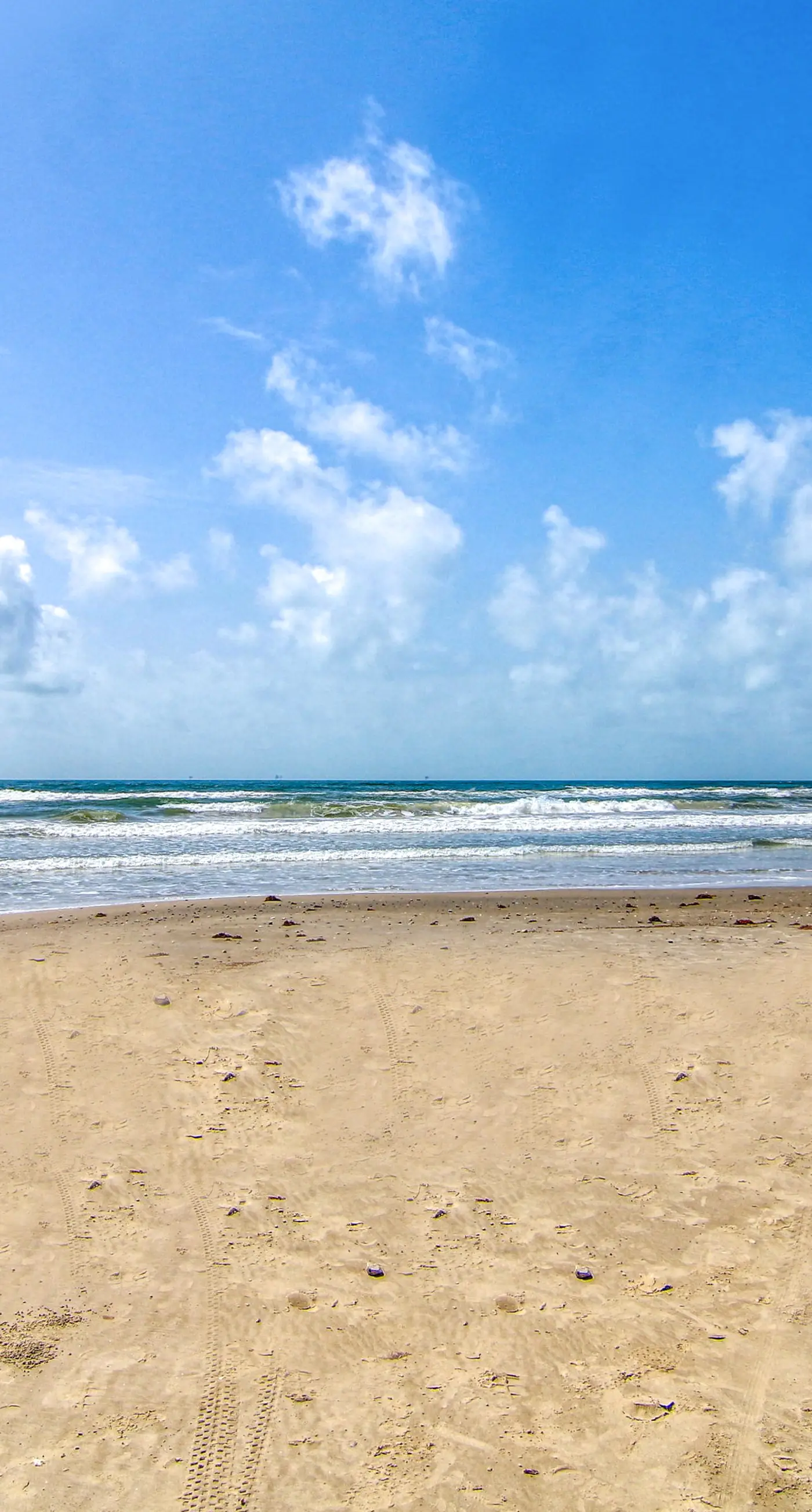 Palm Bay 305
