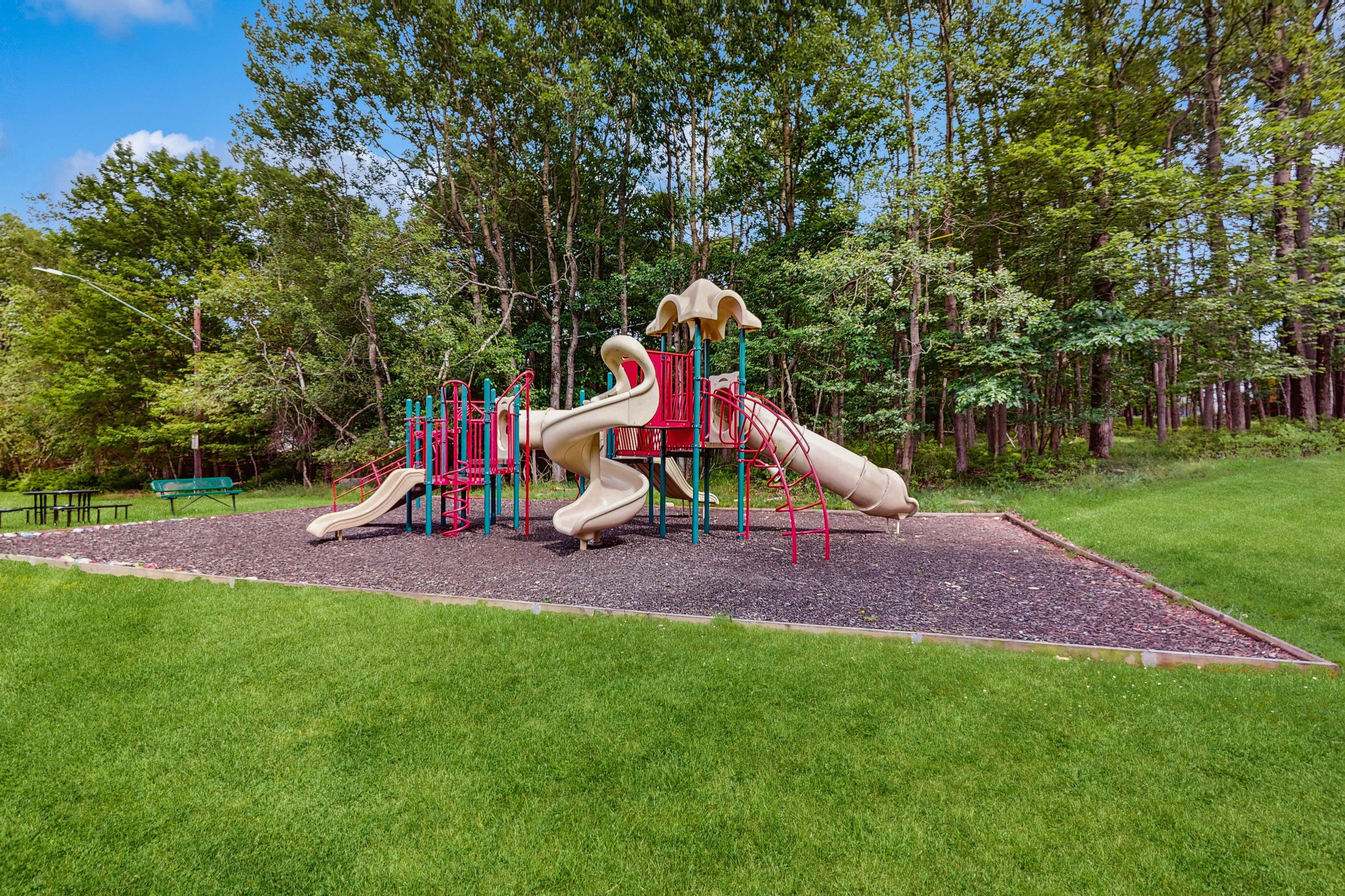 Lounging in Long Pond