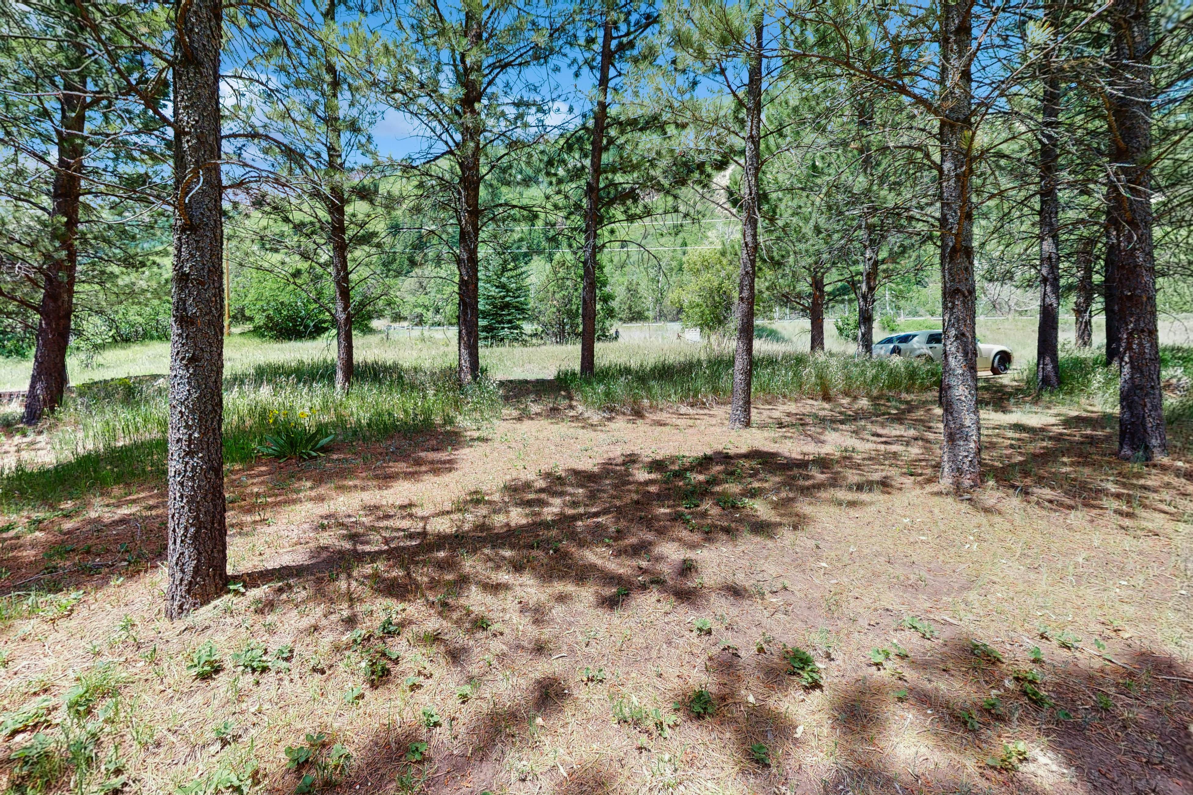 Elephant Mountain Cabin at Filoha Meadows