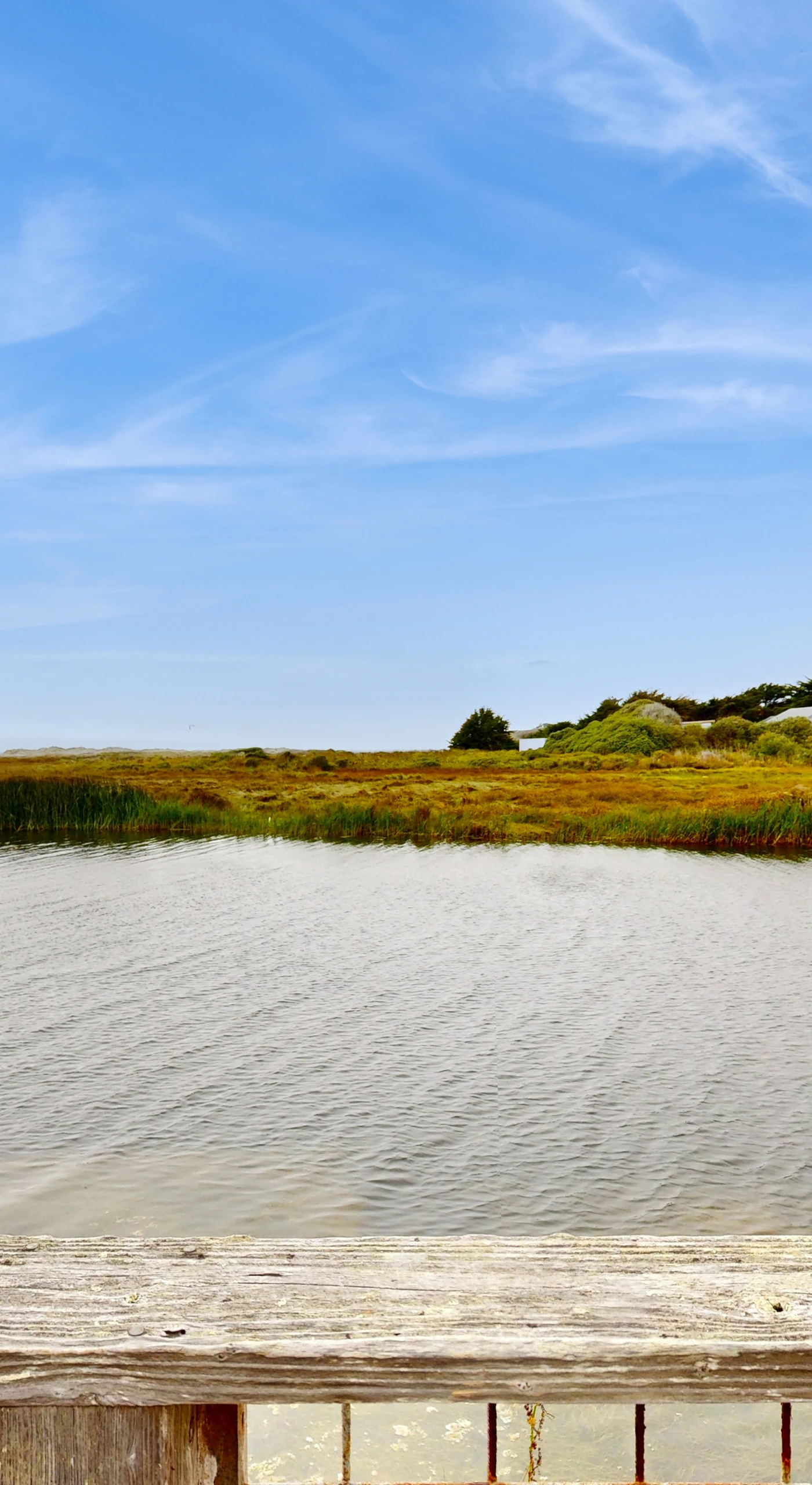 From your deck, savor sweeping views across Salmon Creek estuary where coastal marshlands meet the Sonoma Coast sky.