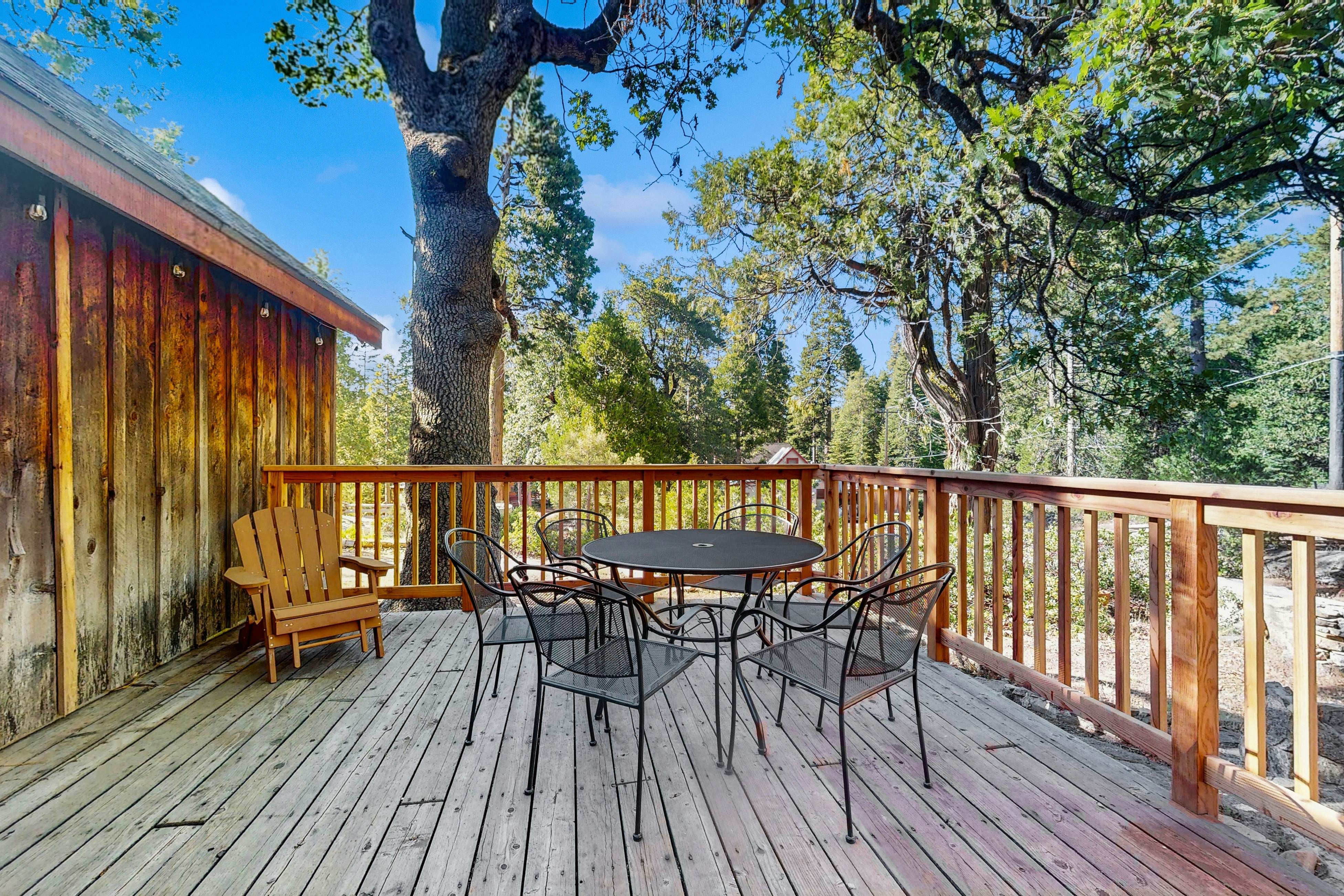 Forest Edge Hideaway