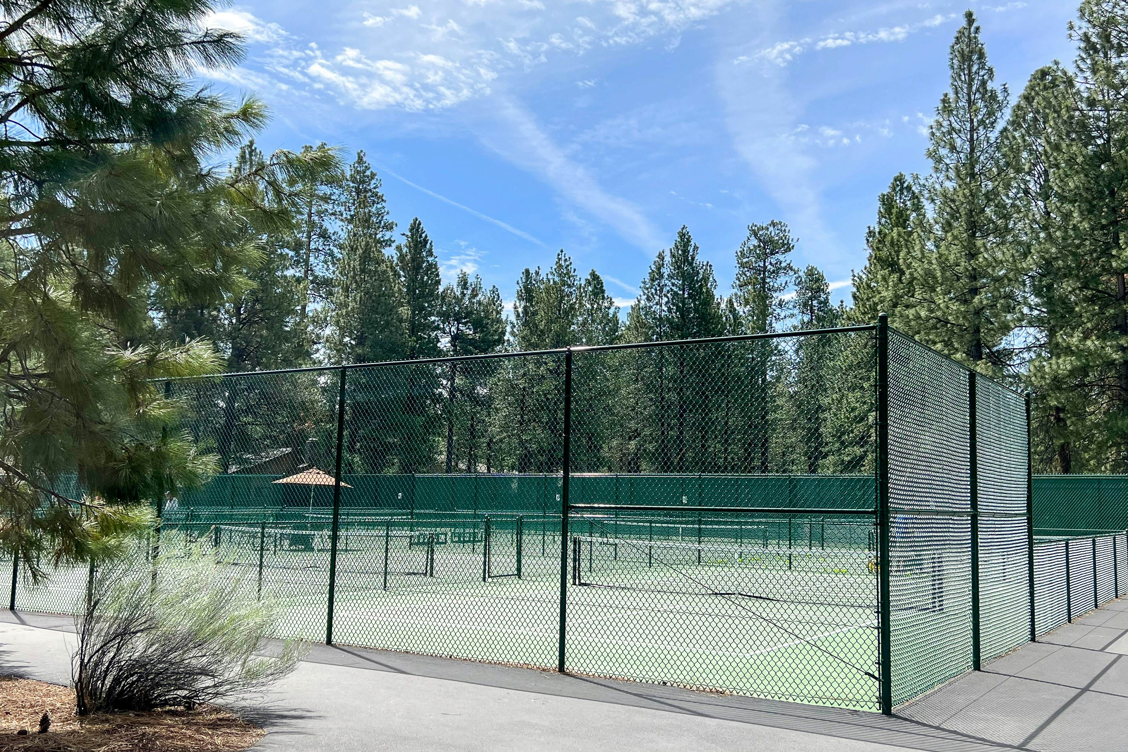 Forest Escape - GM 428