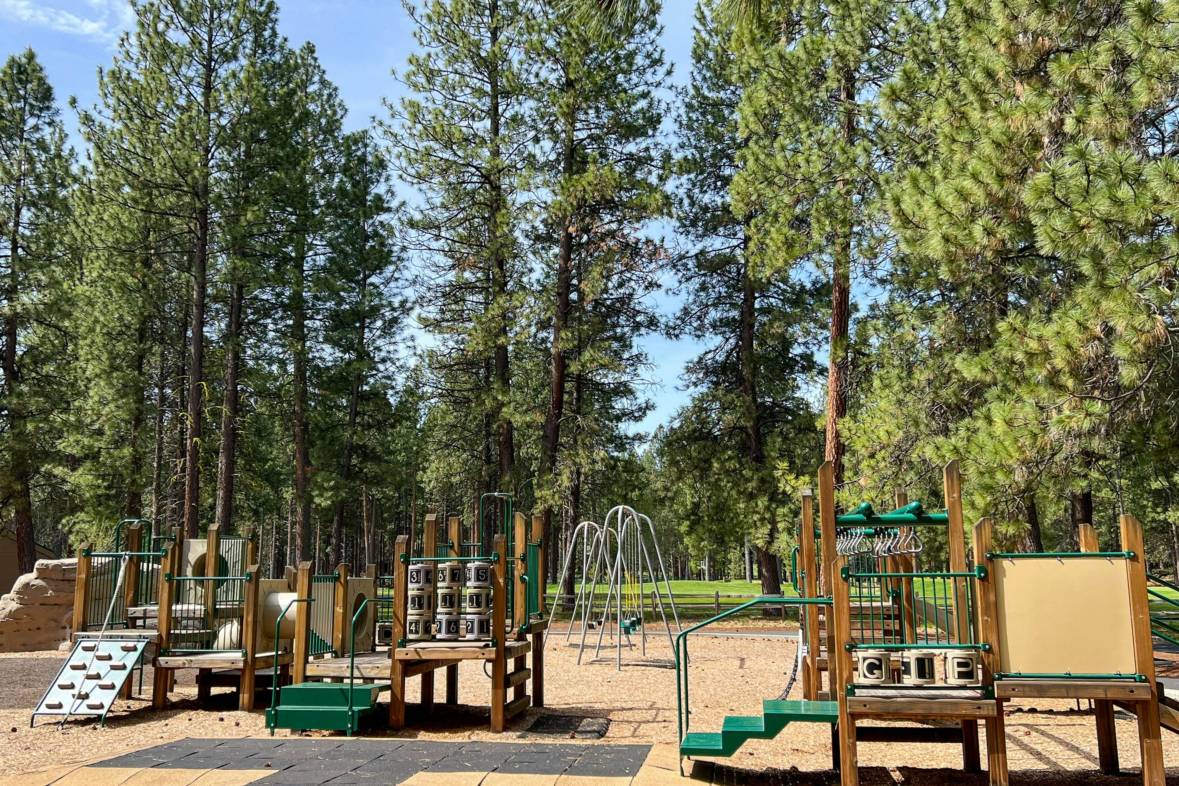 Forest Escape - GM 428