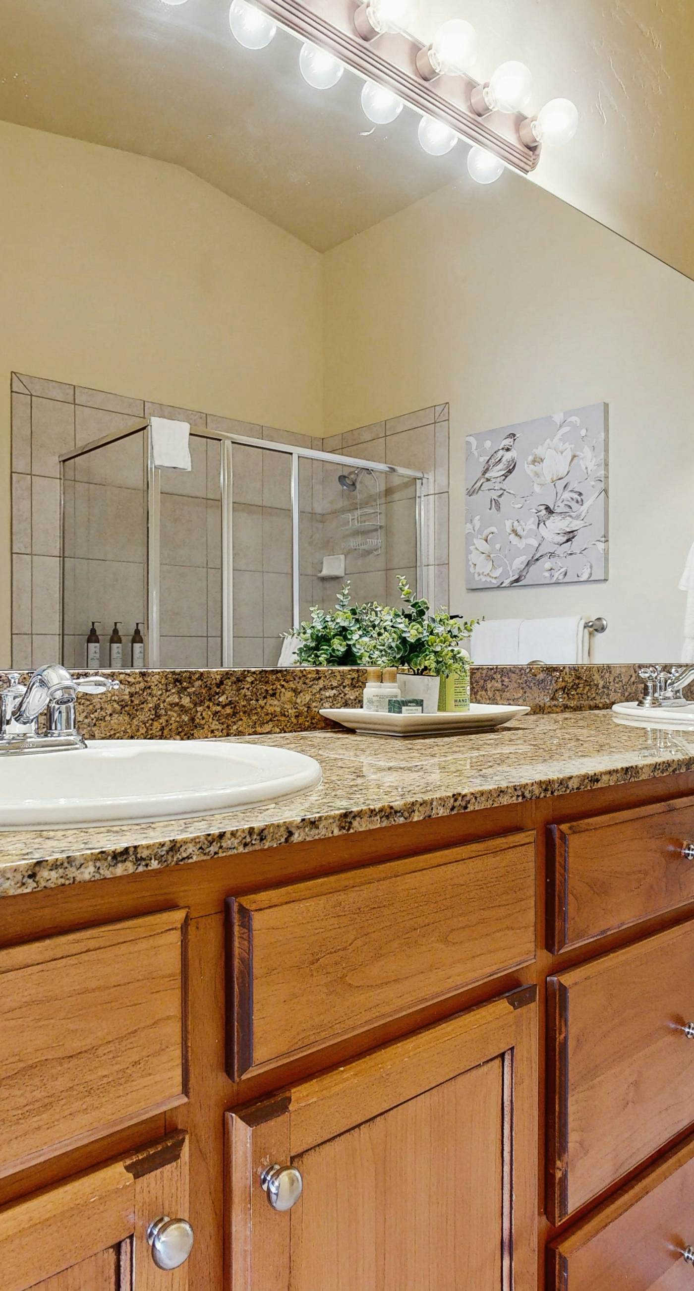 Bobsled Mountain View Haven