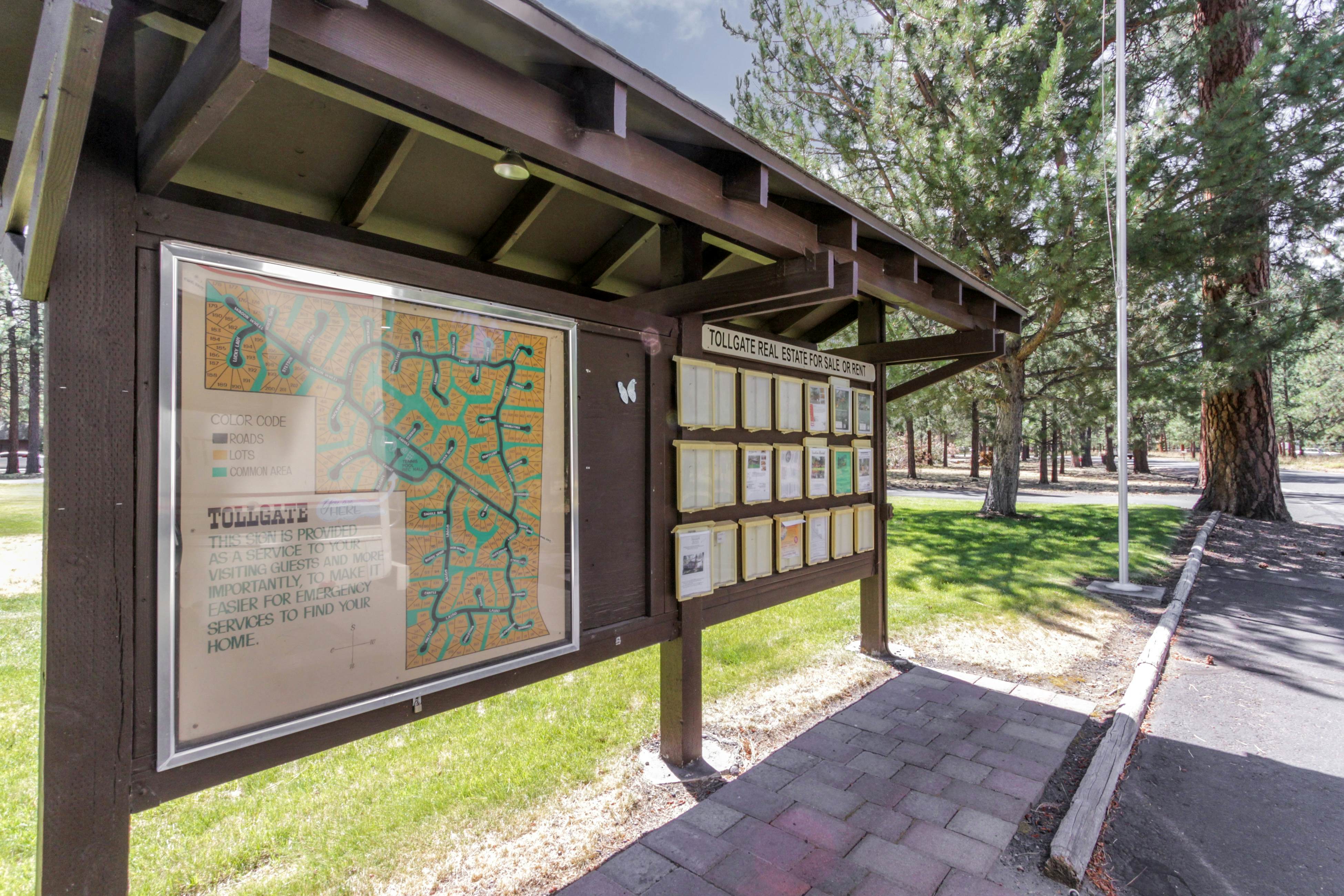 Retreat in the Pines