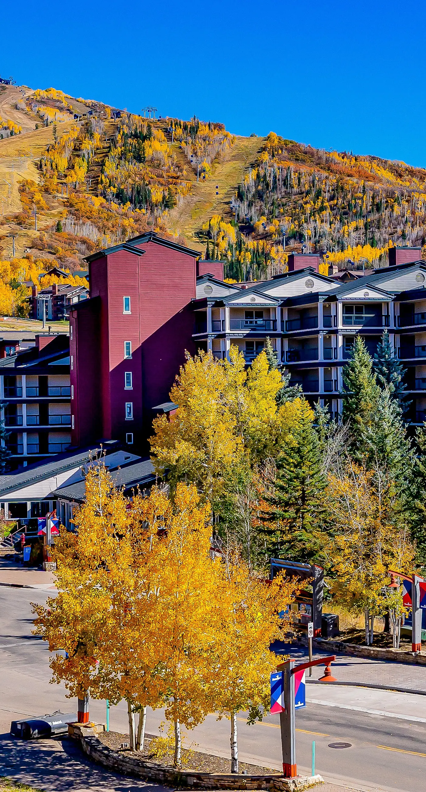 Torian Plum Creekside 616