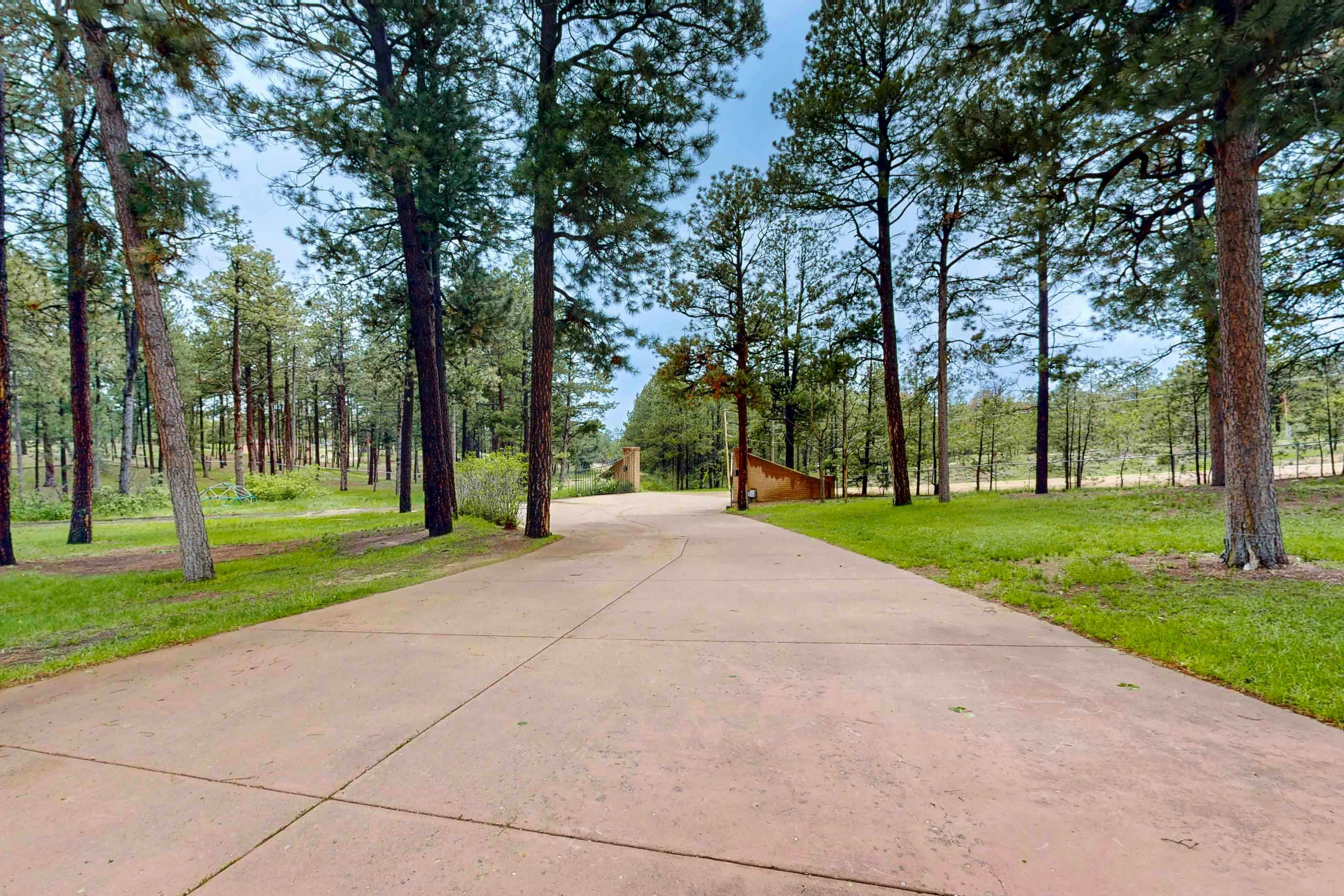 Poolhouse in the Pines