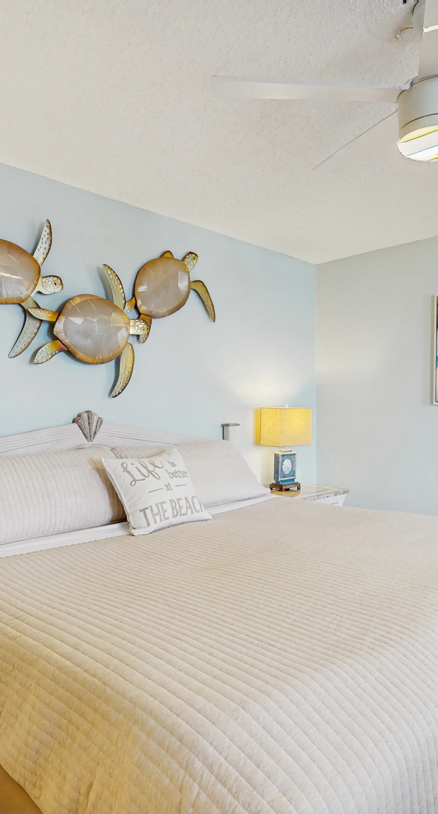 The Turtle Path Condo