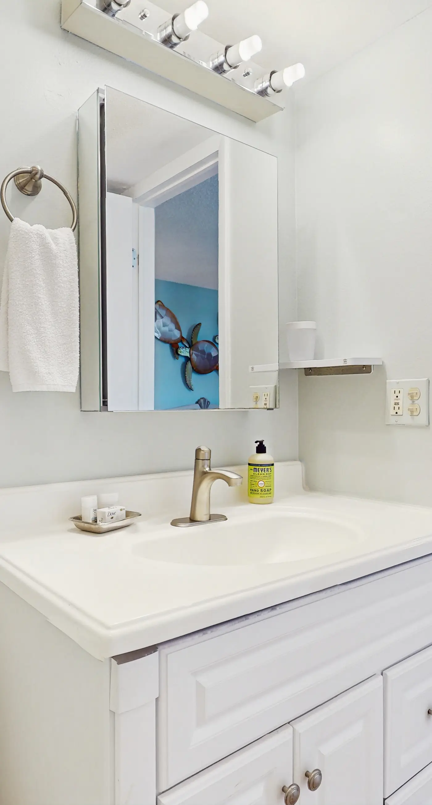 The Turtle Path Condo