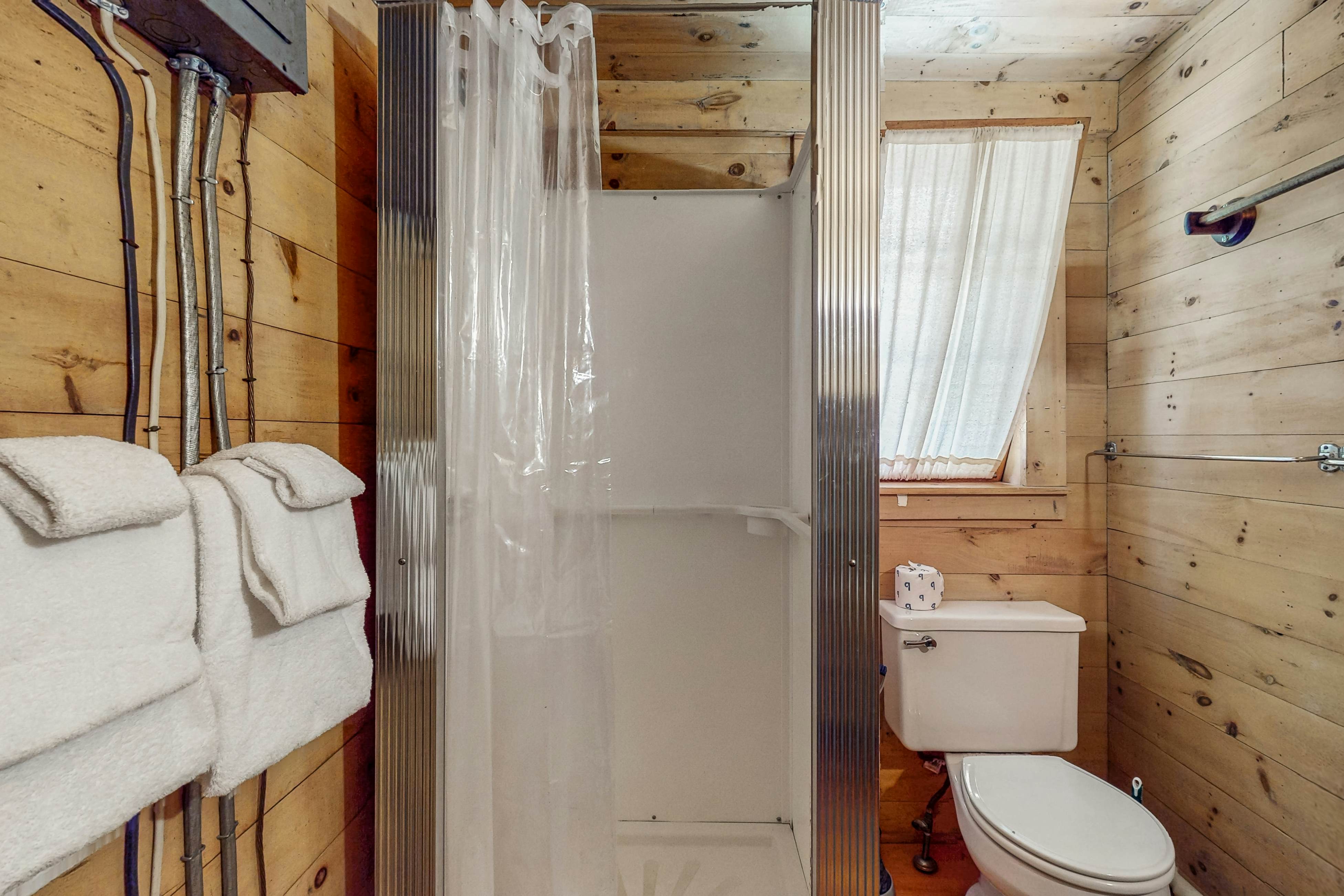 Garden Island's Pine