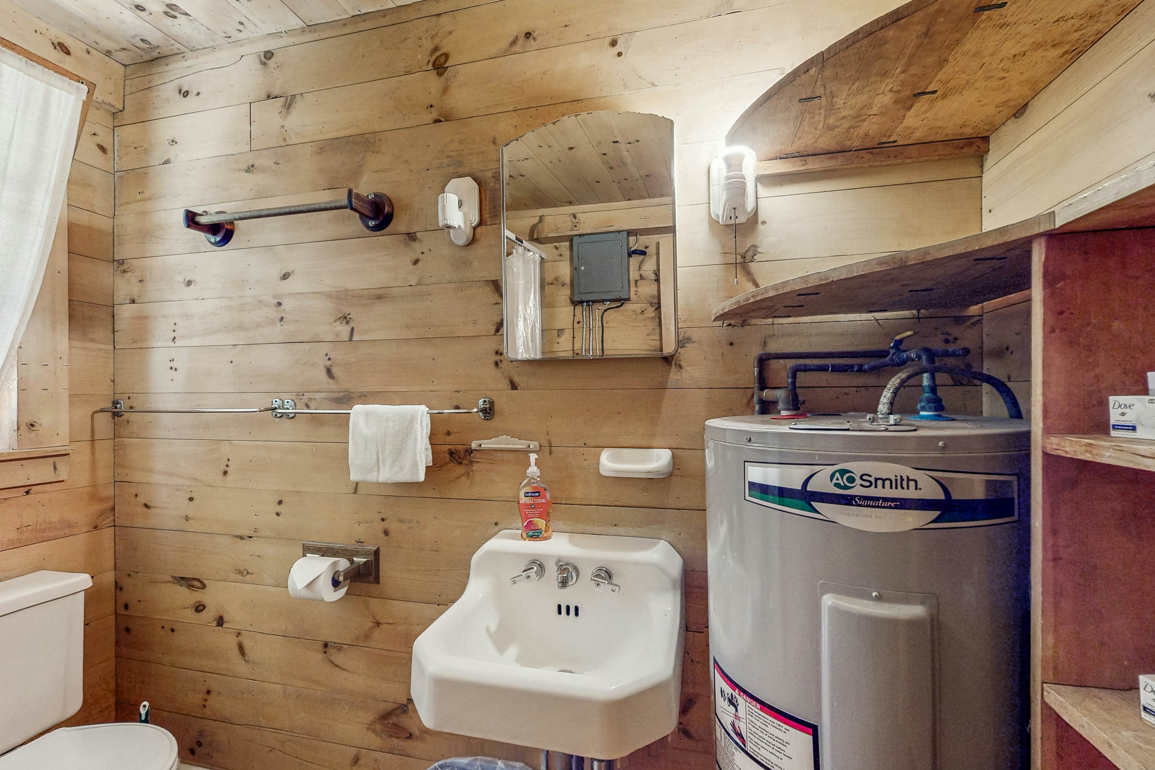 Garden Island's Pine