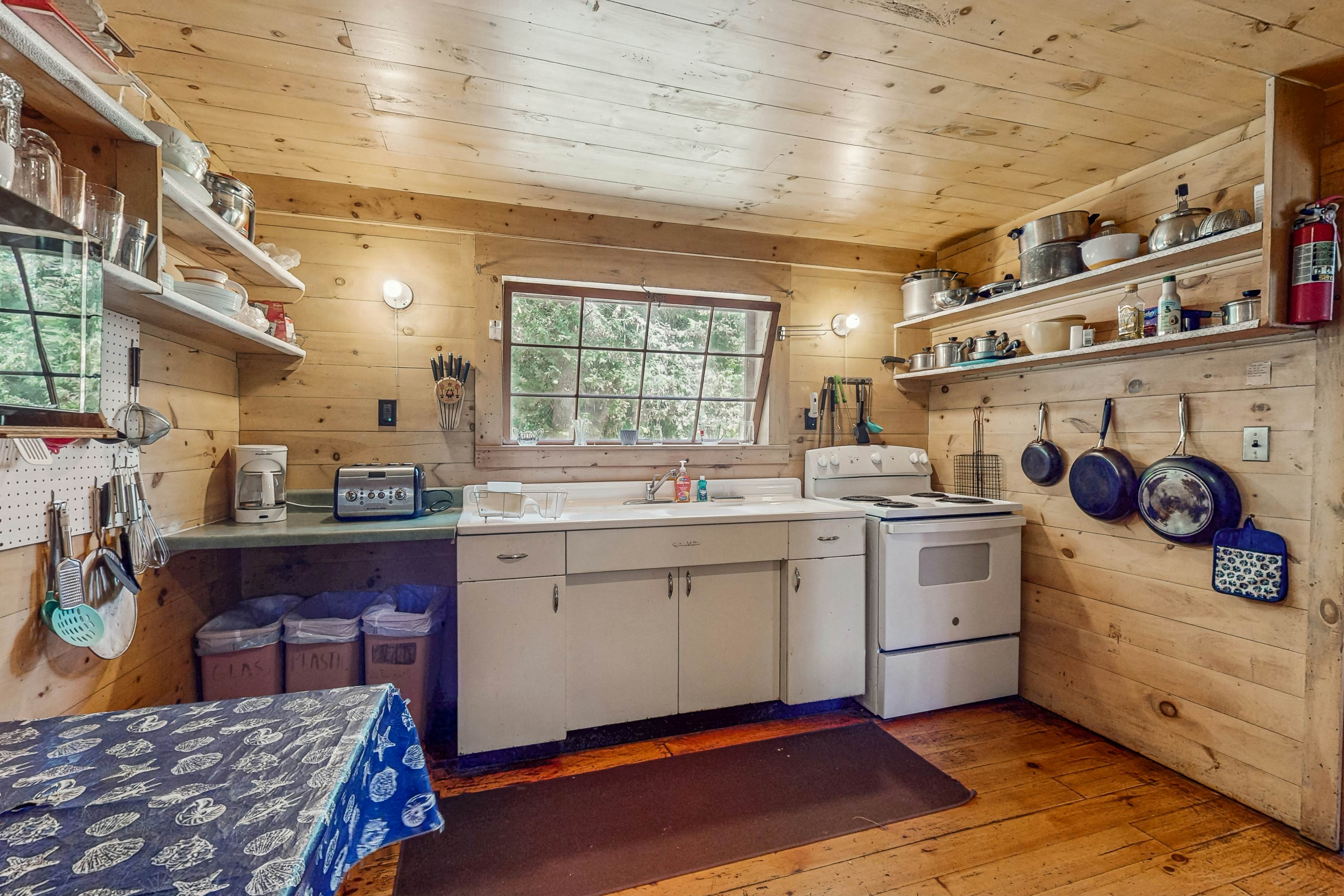 Garden Island's Pine