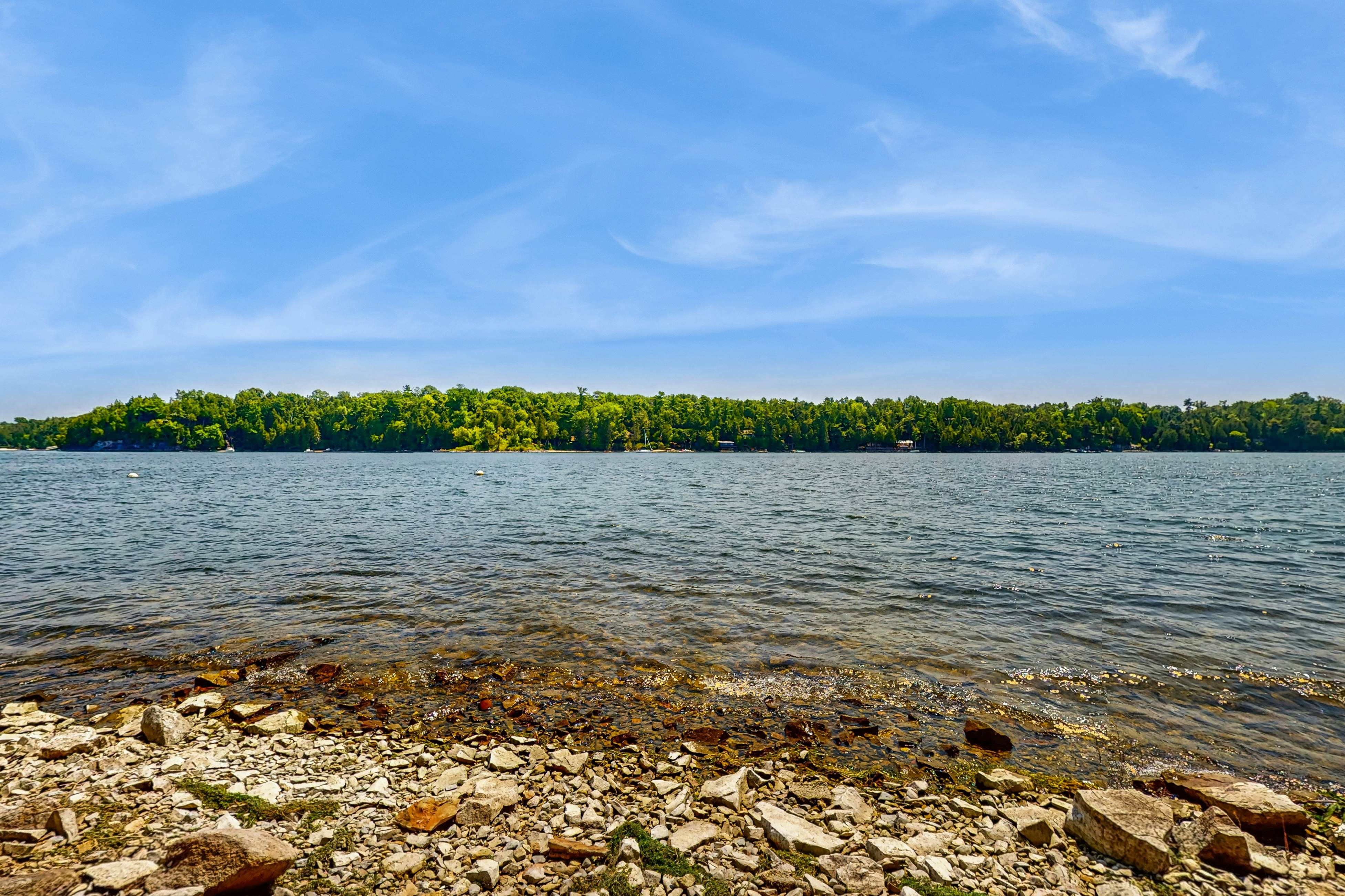 Garden Island's Pine