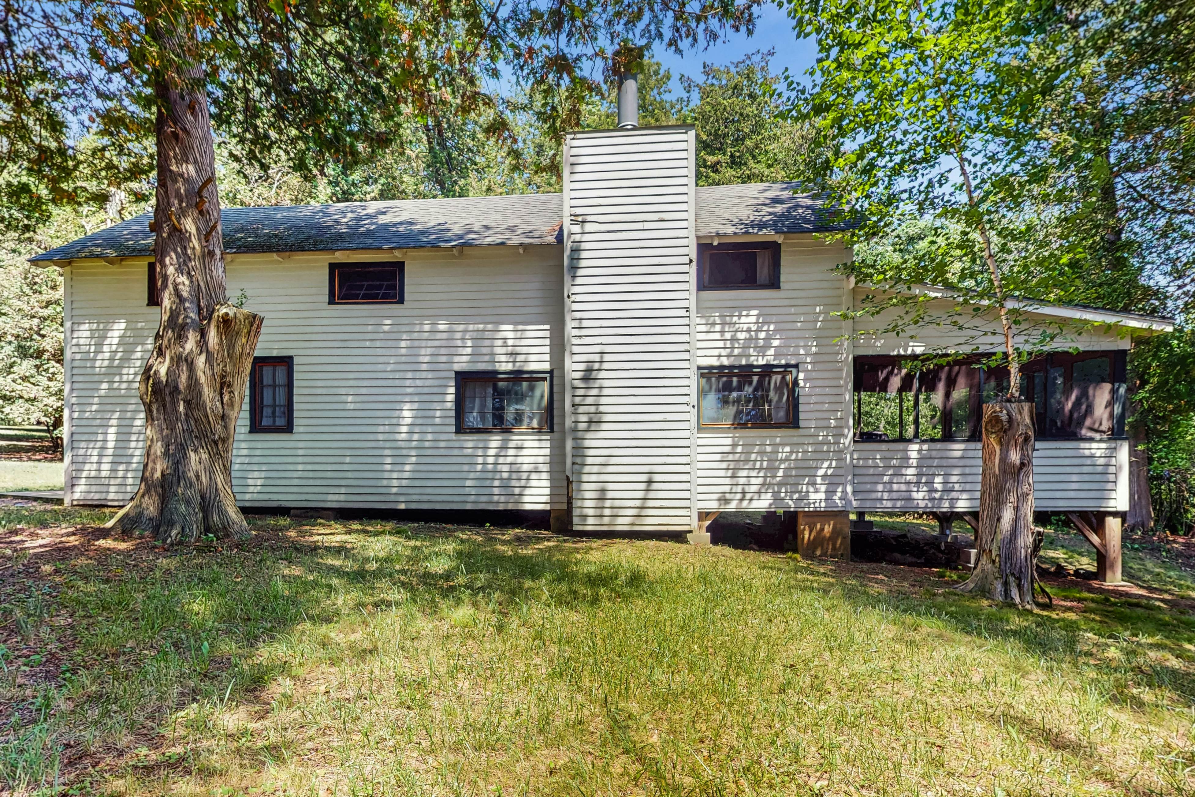 Garden Island's Pine