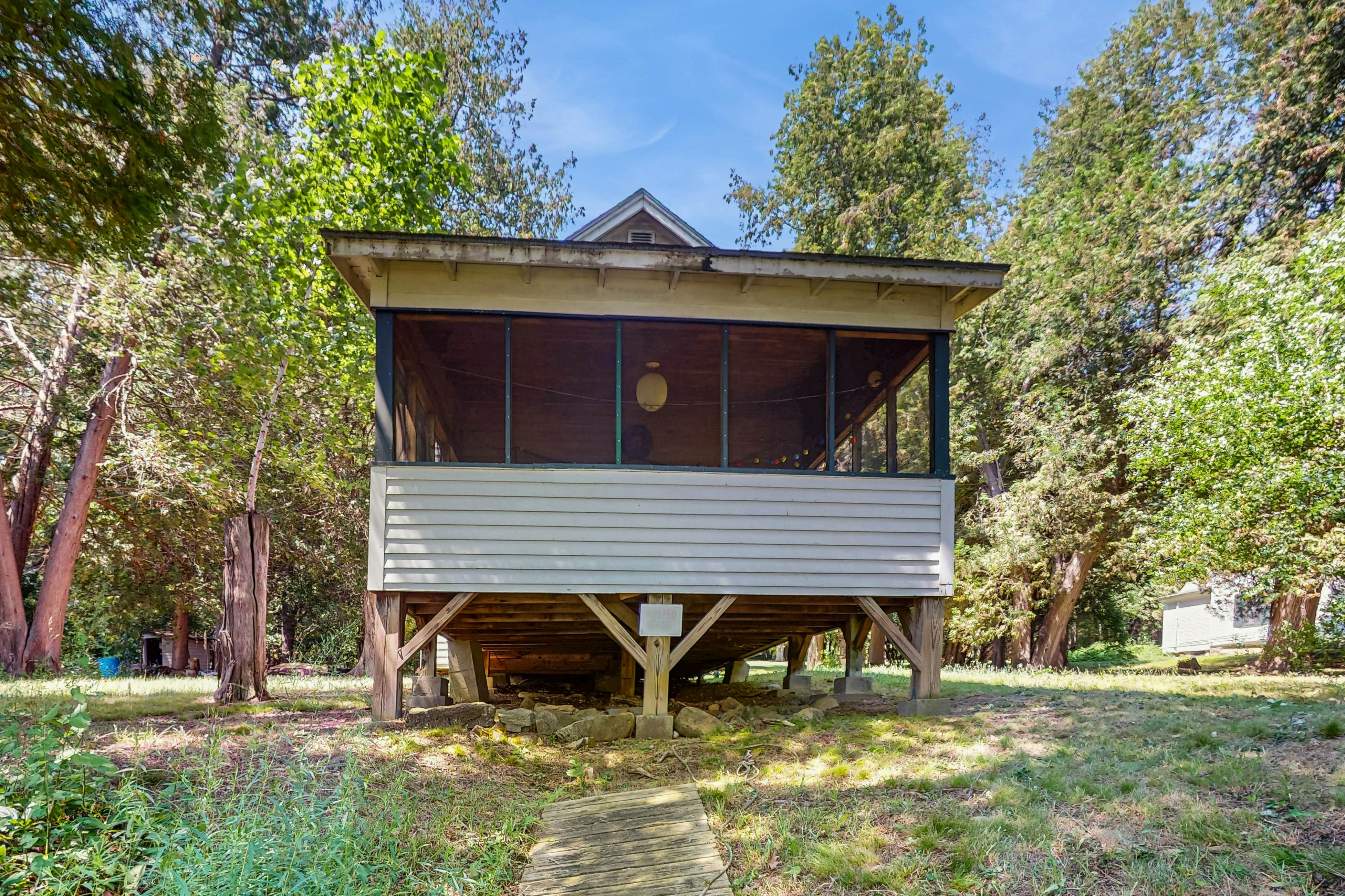 Garden Island's Pine