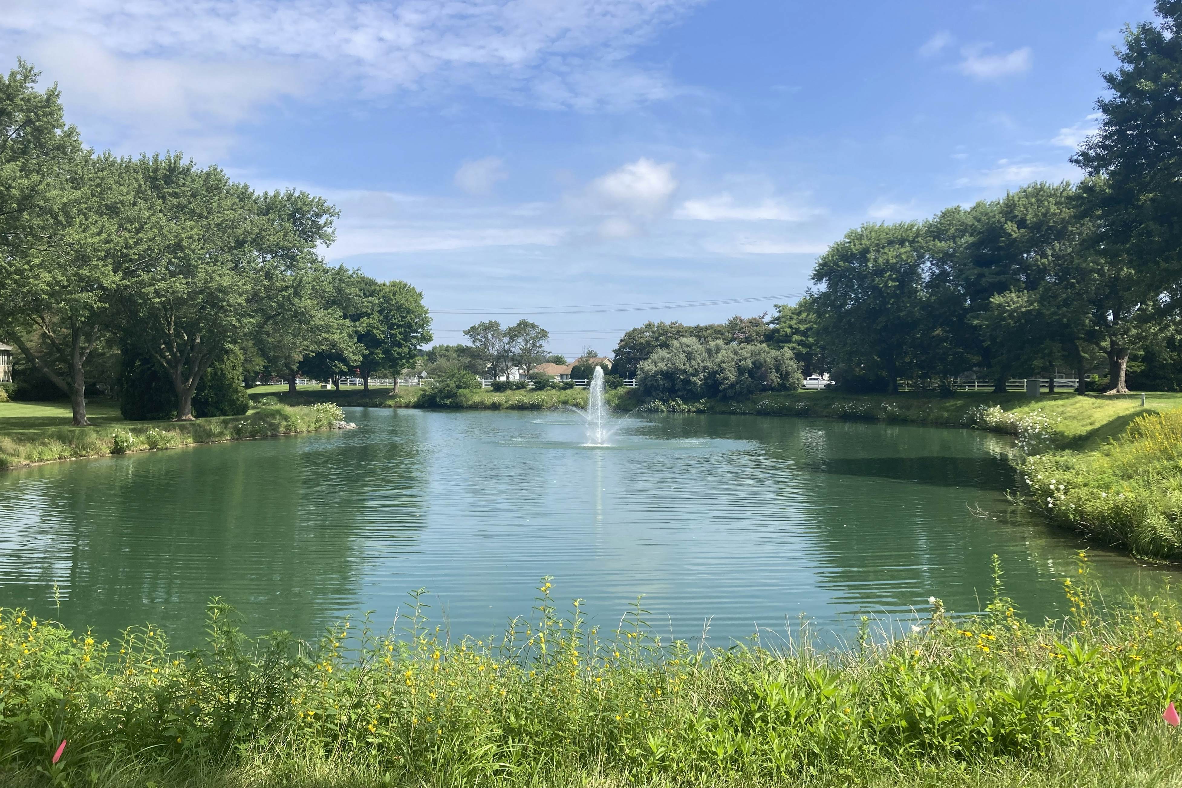 The Plantations - 33670 Stratford Rd, Unit #6