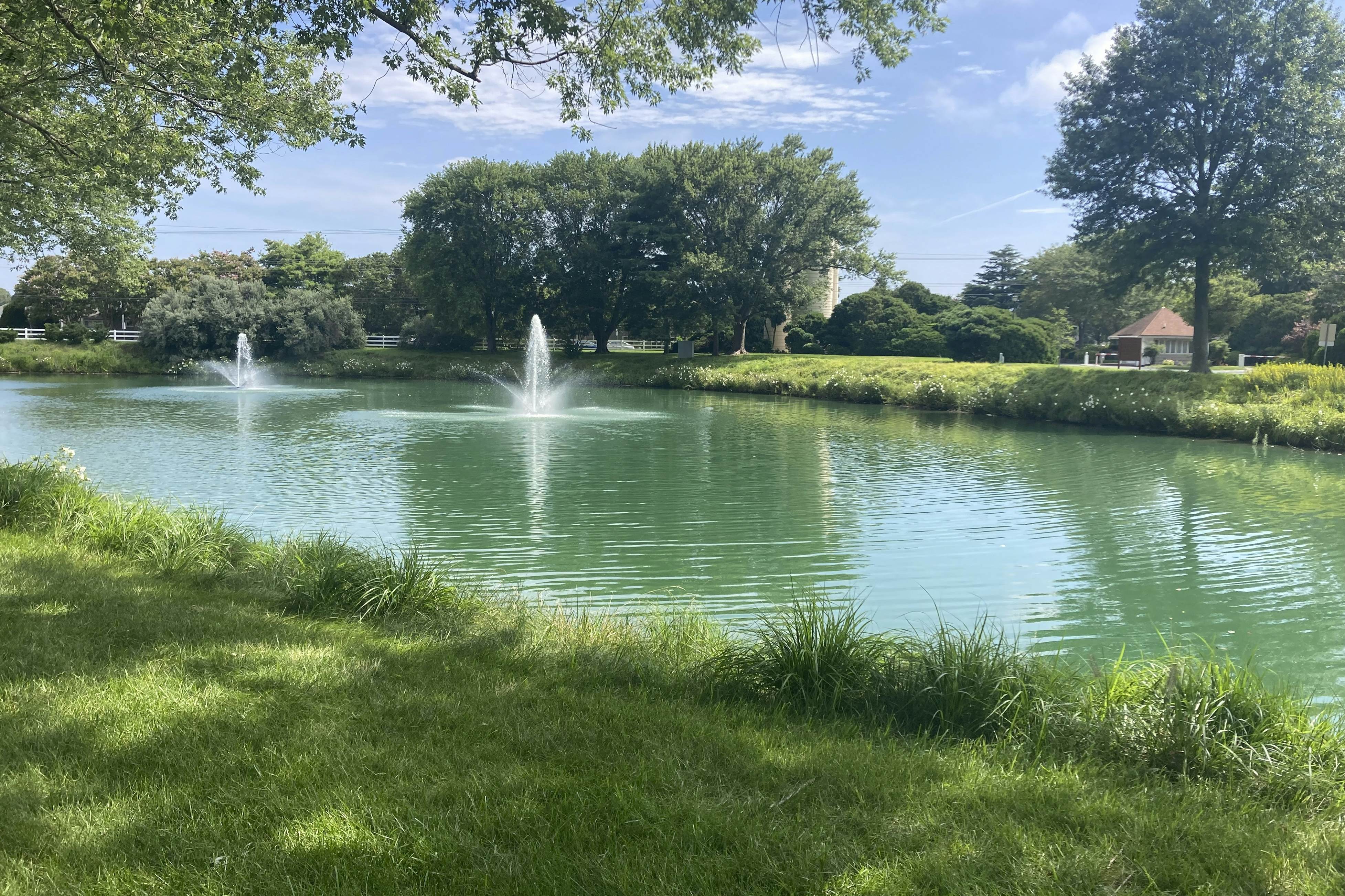 The Plantations - 33670 Stratford Rd, Unit #6