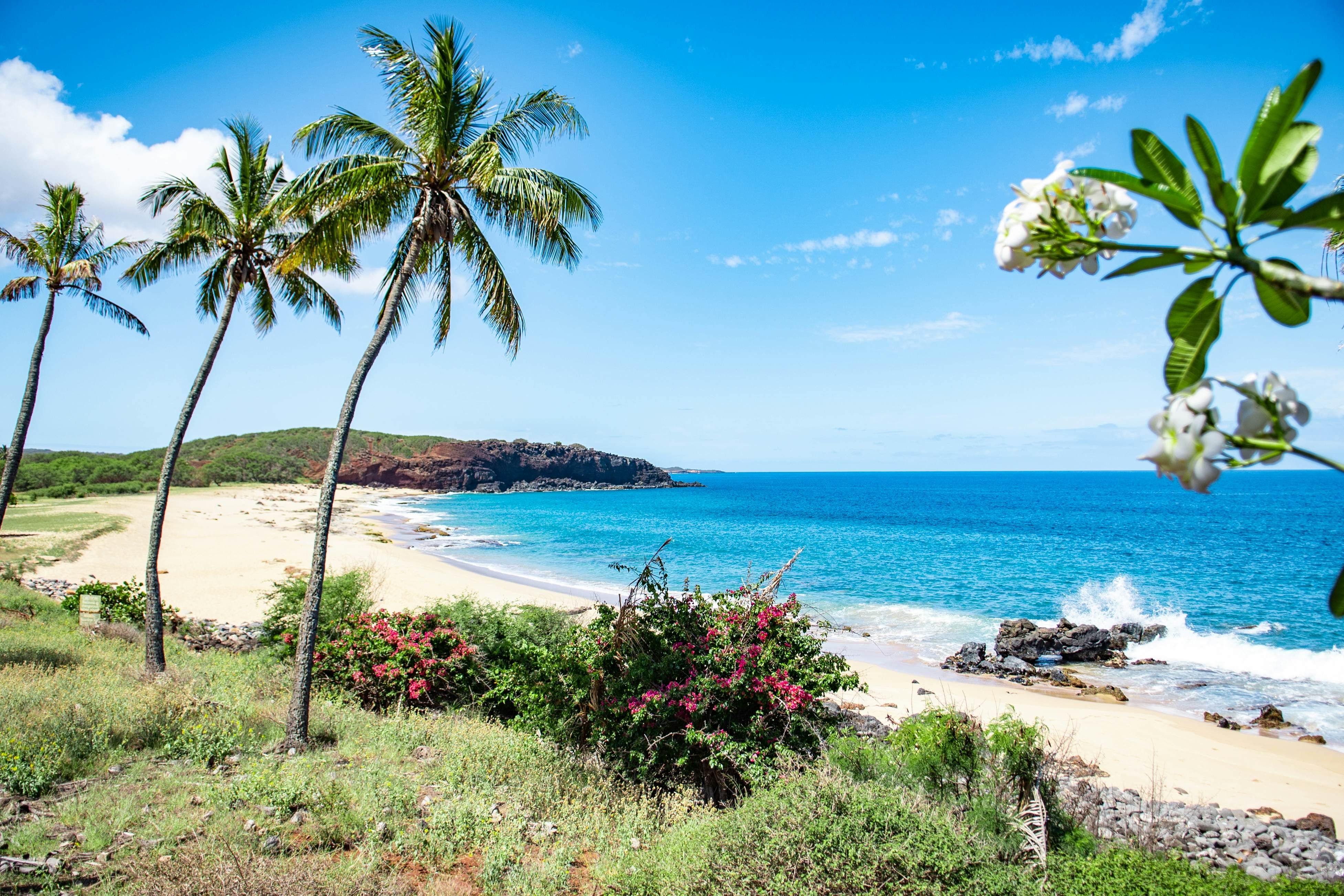 Kepuhi Beach Resort 1156