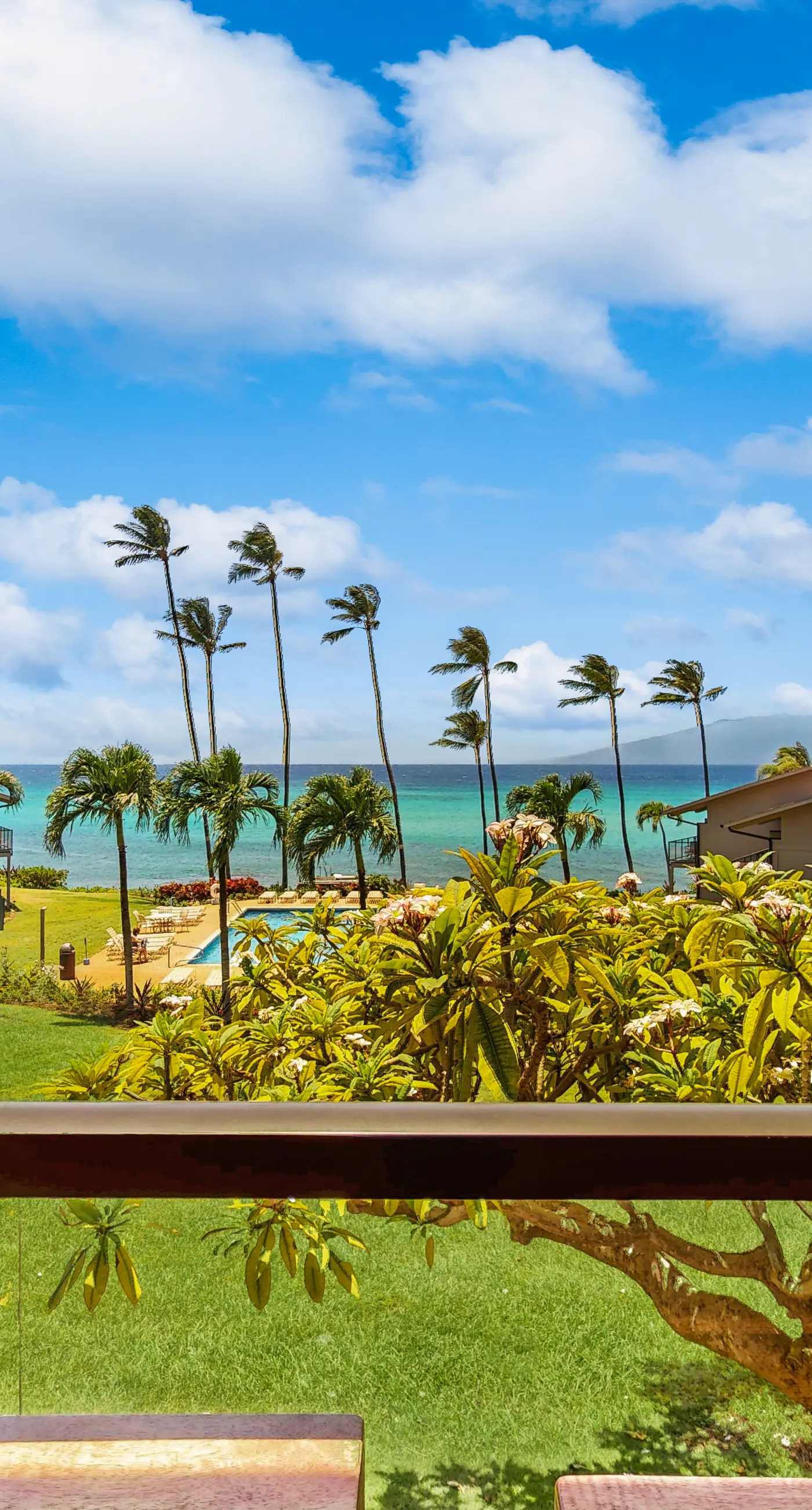 Mahina Surf 214