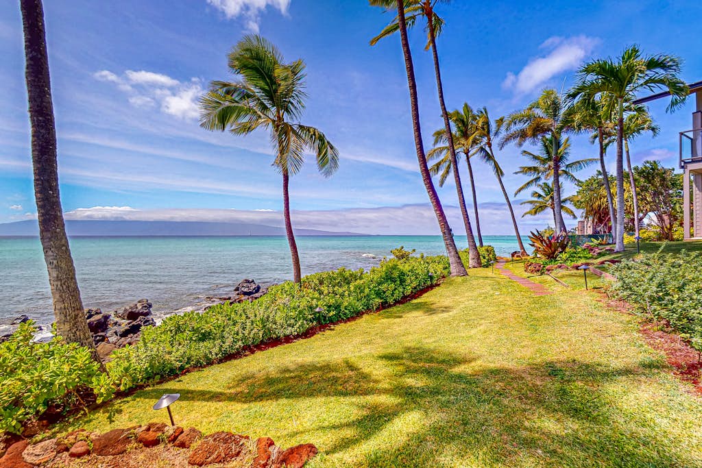 Palm Lined Path To Paradise