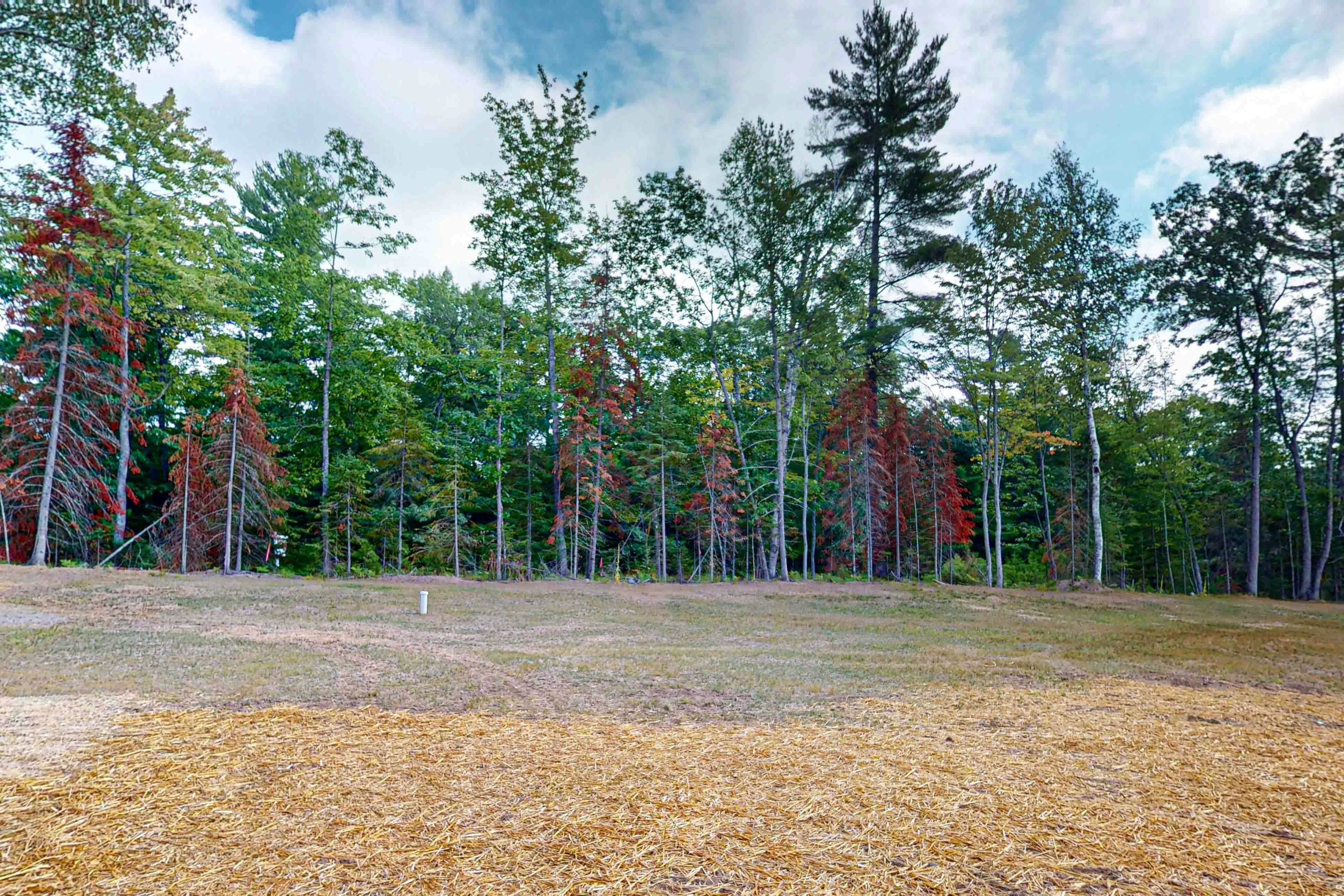 The Crossing at Lake Forest- 39 & 40