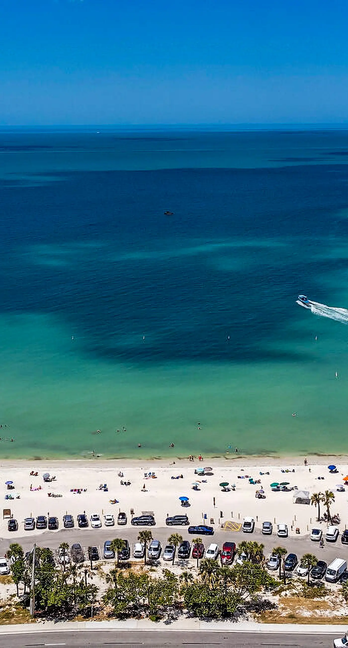 The Turtle Path Condo