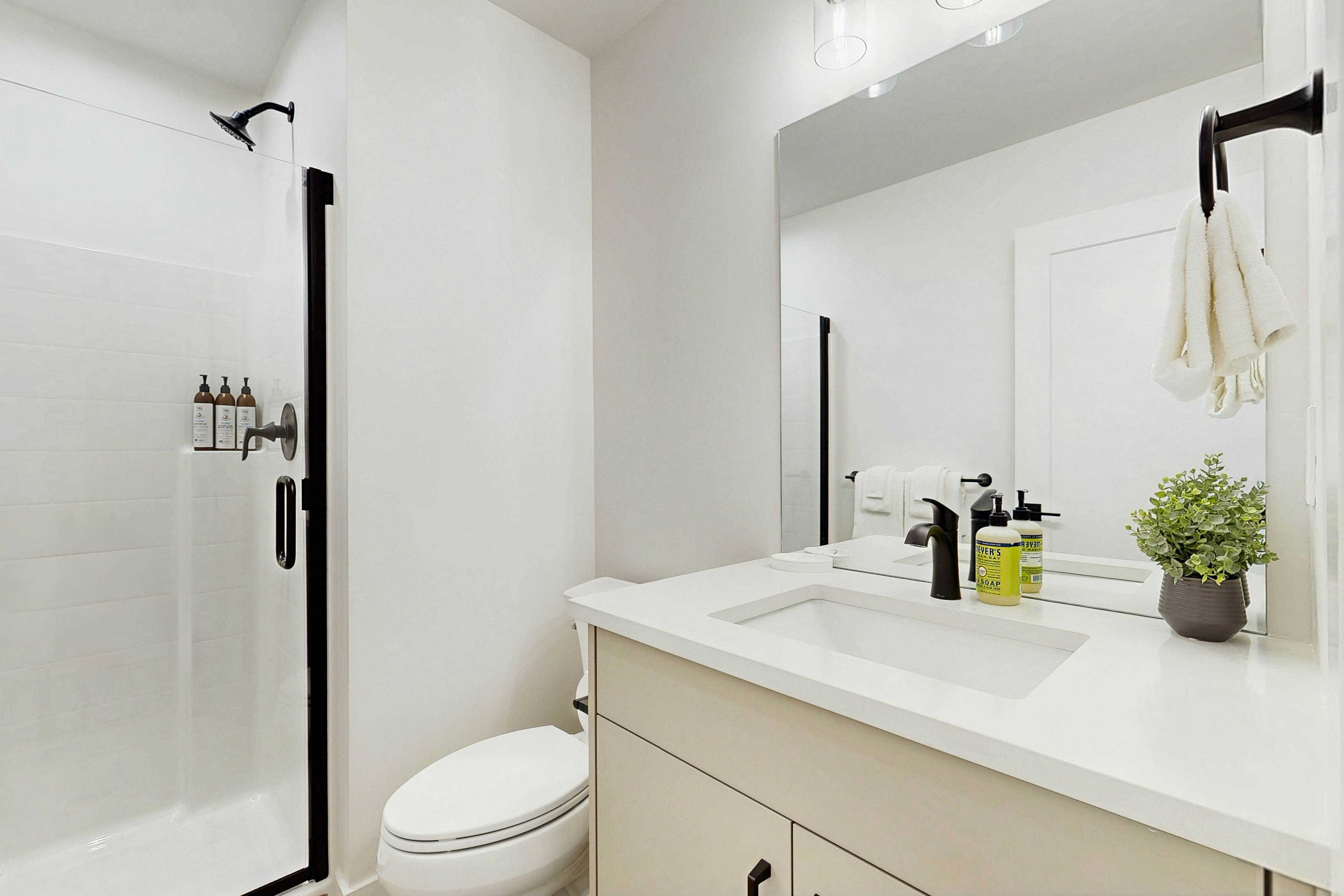 Contemporary Comfort