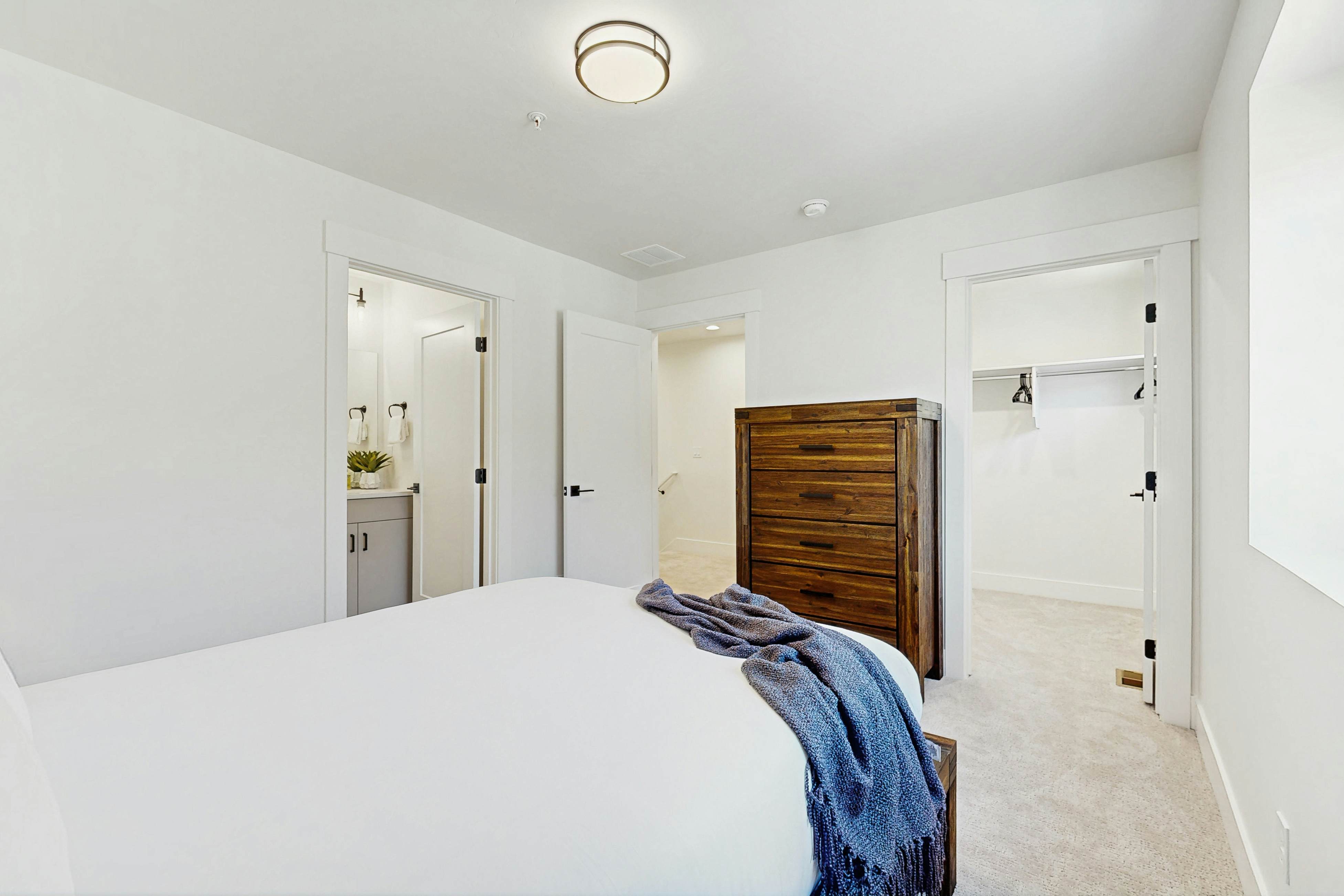 Contemporary Comfort