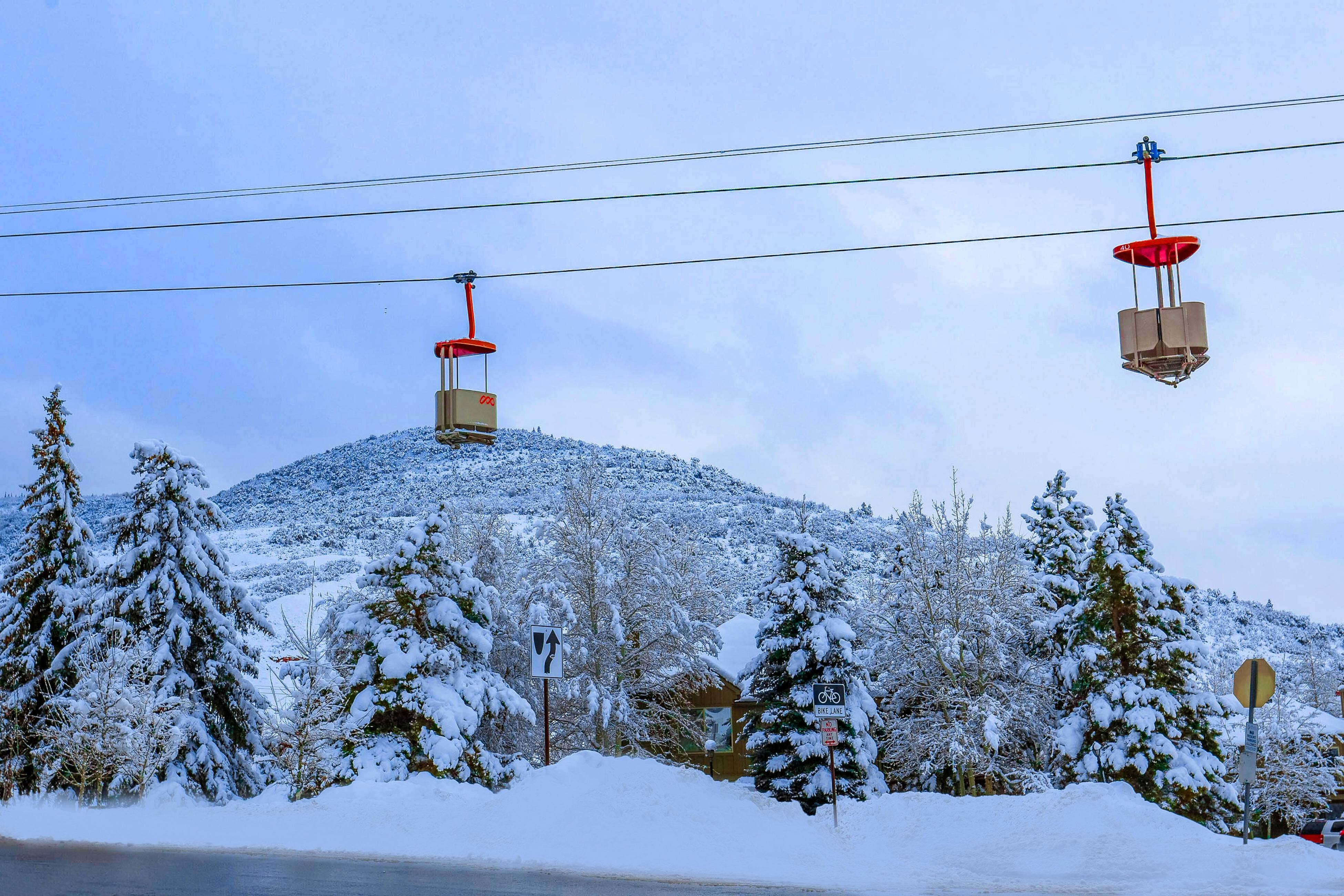 Majestic Charm U3 at Red Pine