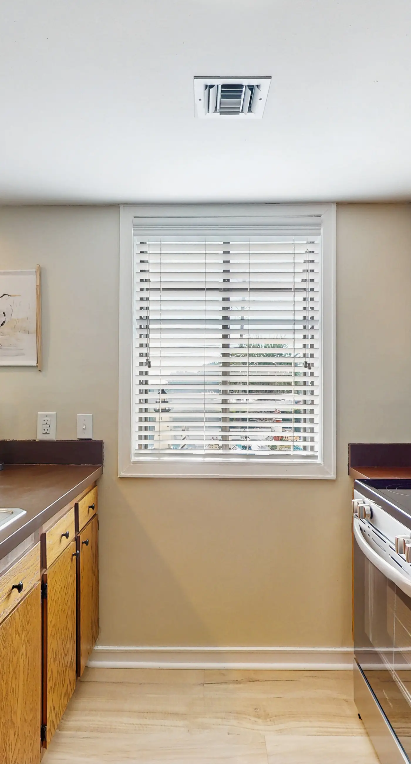 Arcadian Dunes 04-213