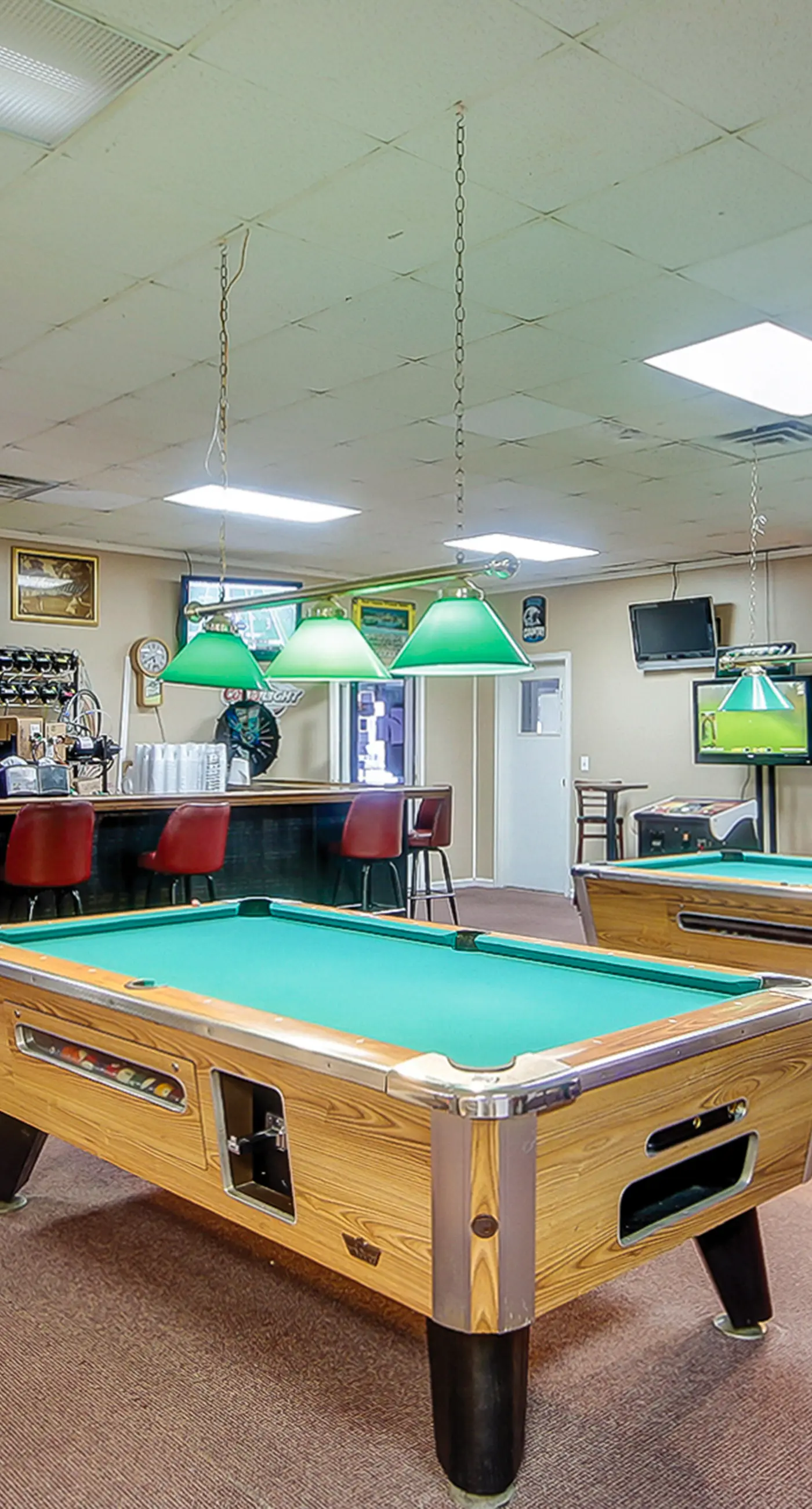 Arcadian Dunes 04-213