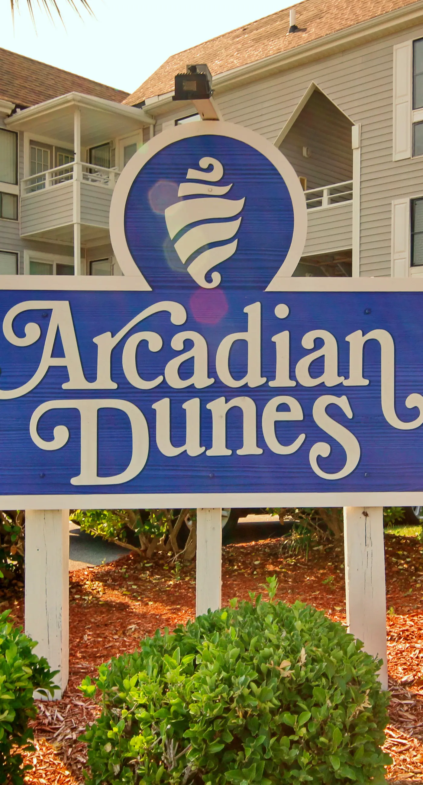 Arcadian Dunes 04-213