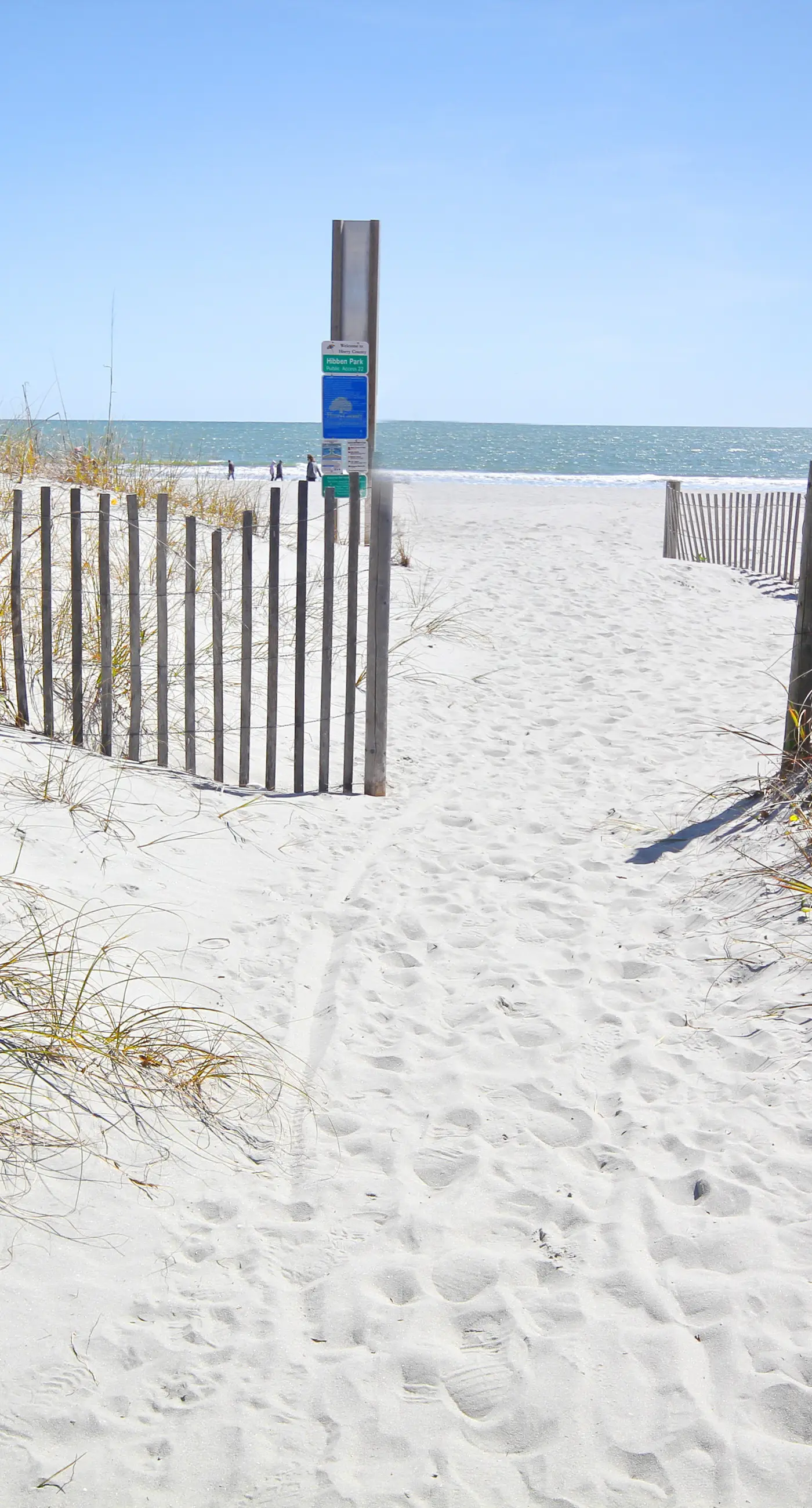 Arcadian Dunes 04-213