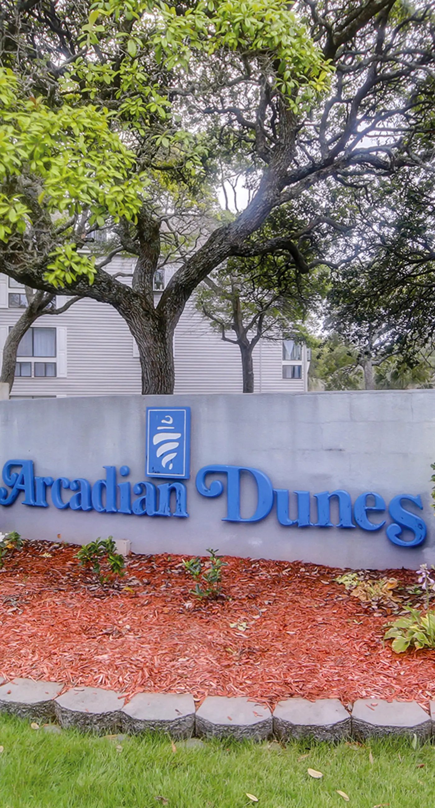 Arcadian Dunes 04-213