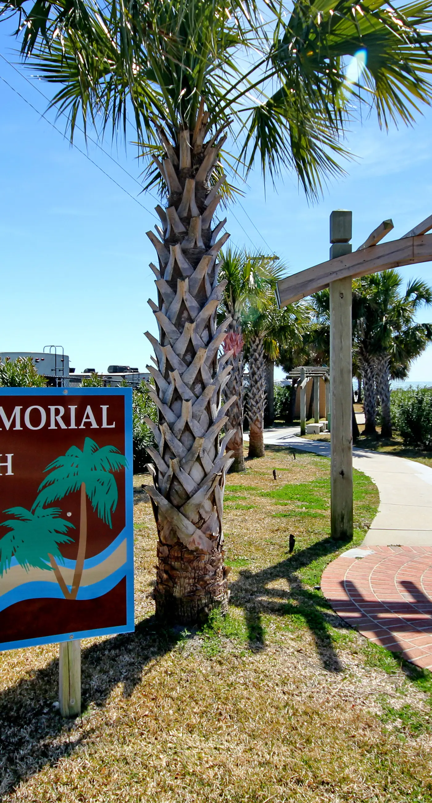 Arcadian Dunes 04-213