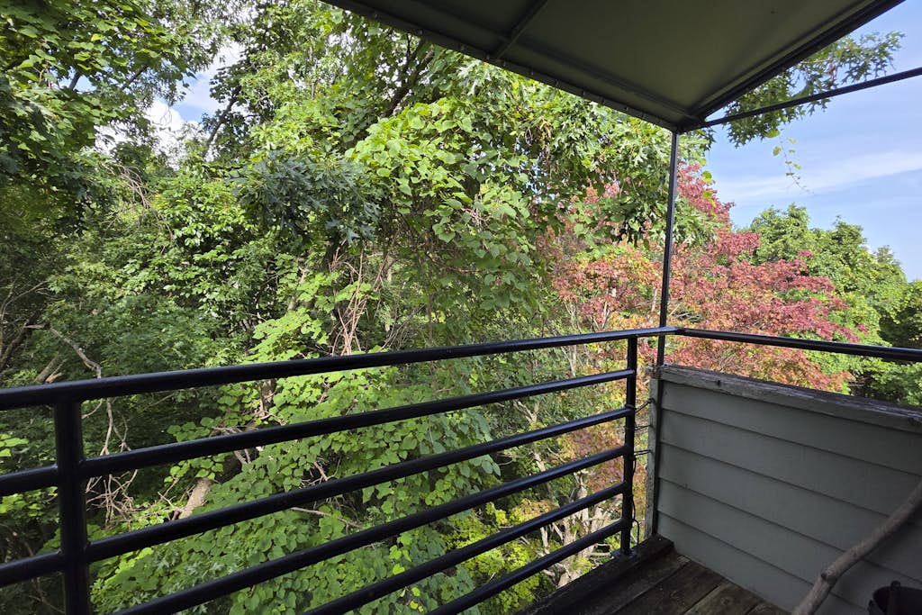 View 9