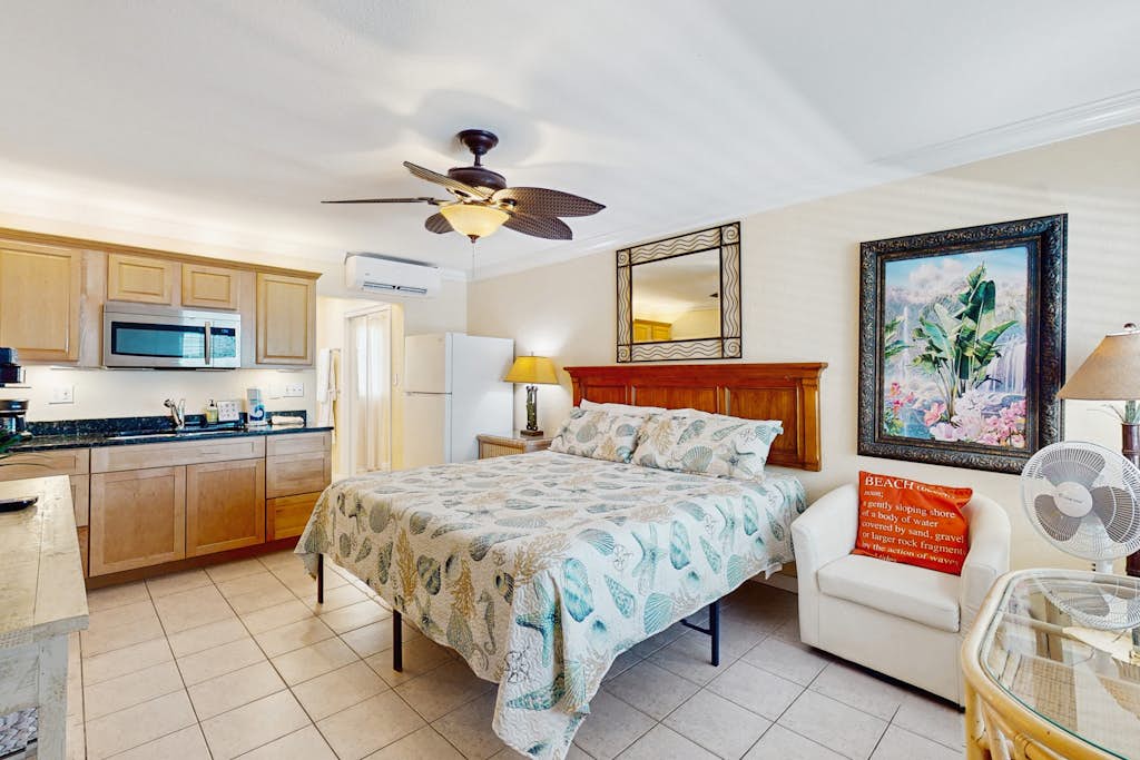 Charming dog friendly studio with WiFi shared washer dryer snowbirds OK — St. Pete Beach, FL — vacation rental