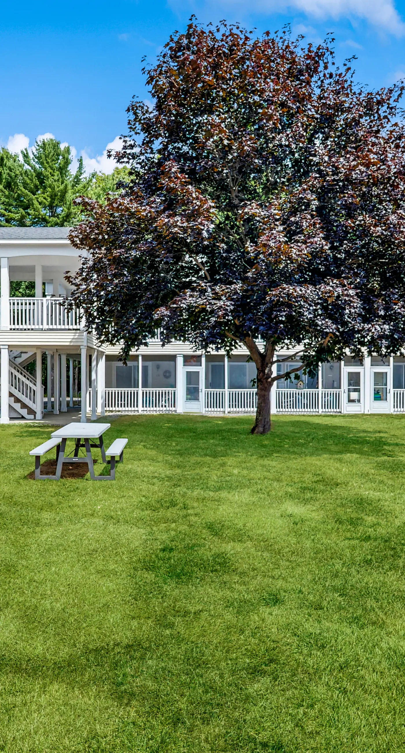 Wellington Manor 240