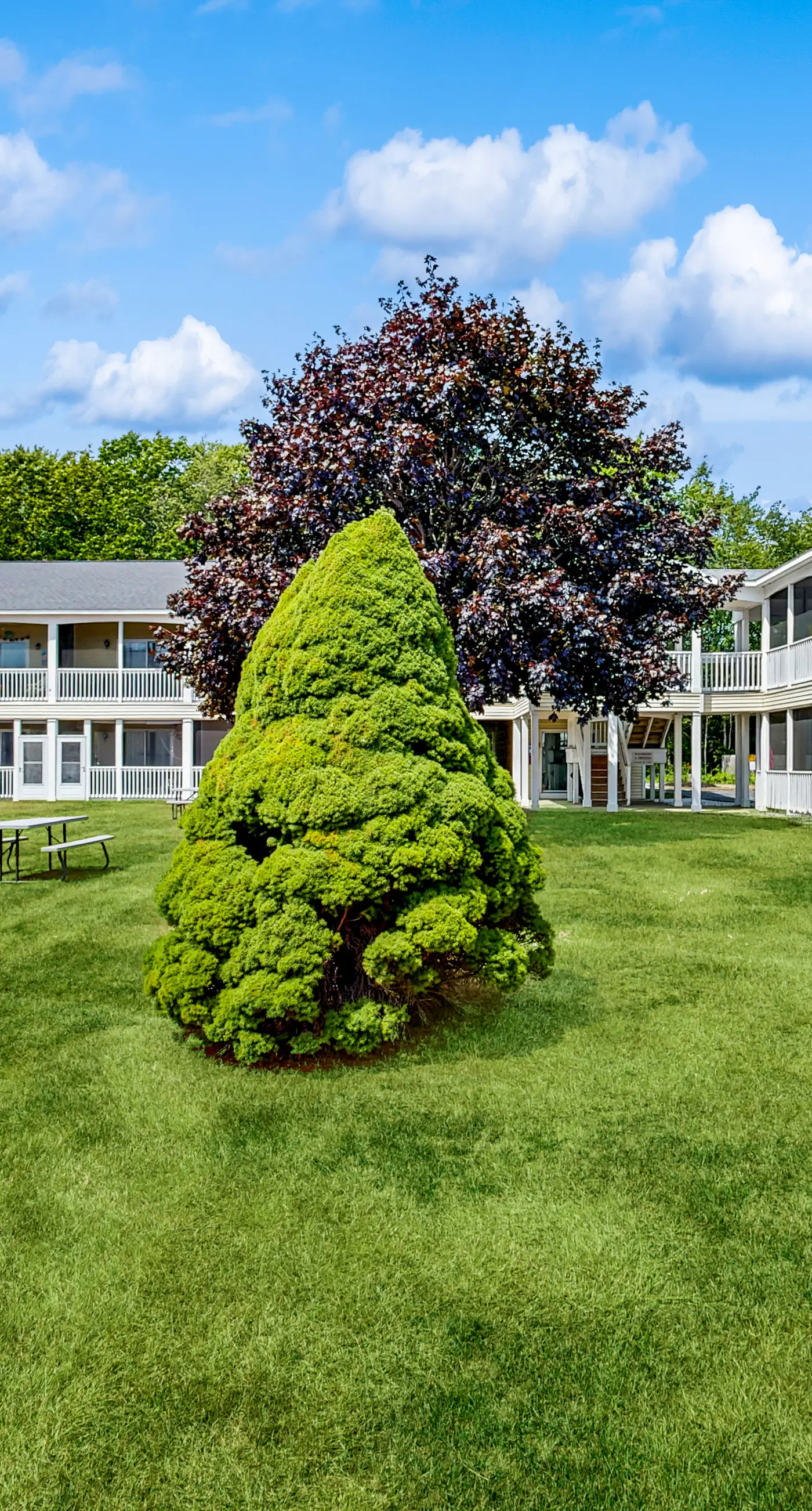 Wellington Manor 240
