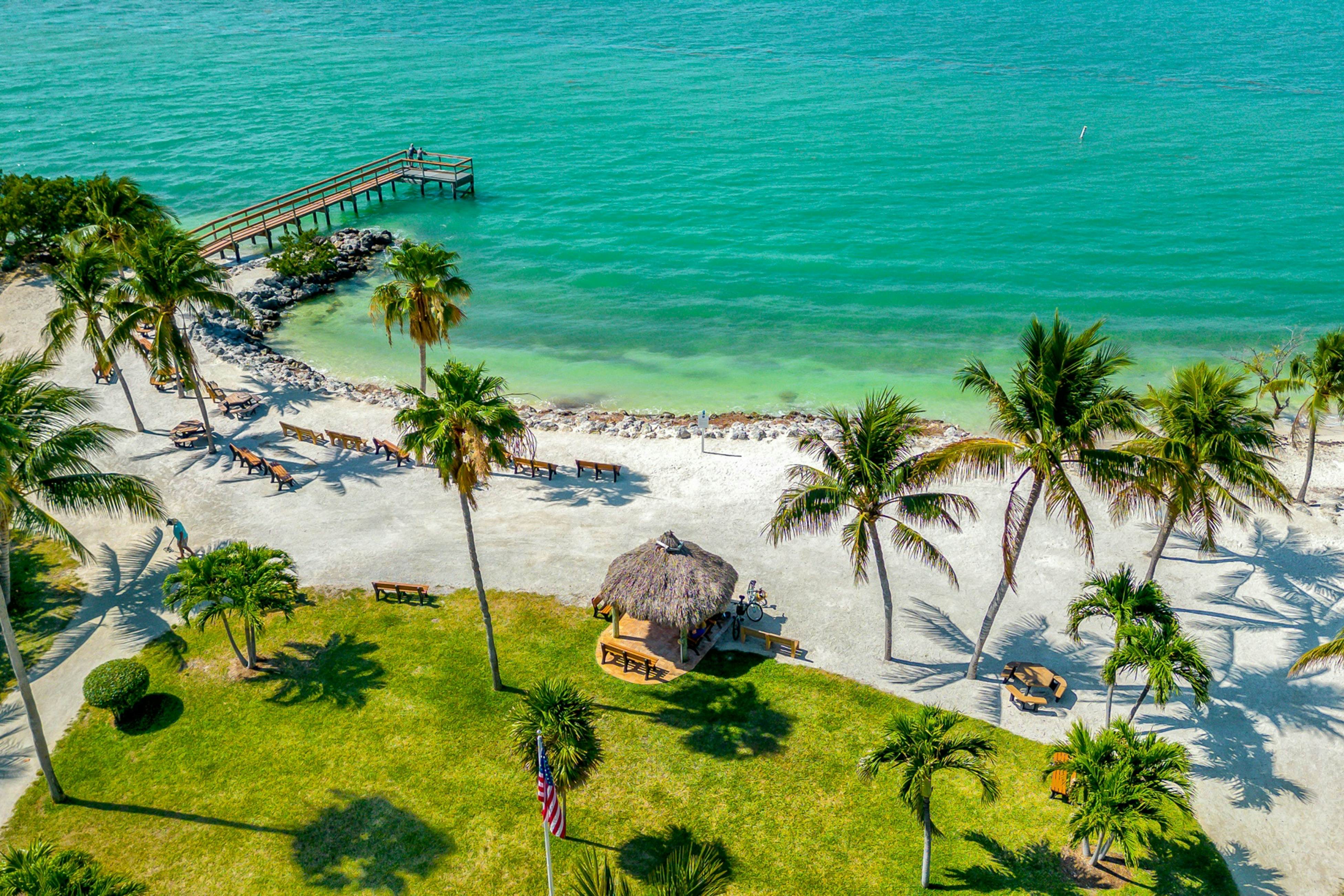 Carpe Diem - Seas The Day