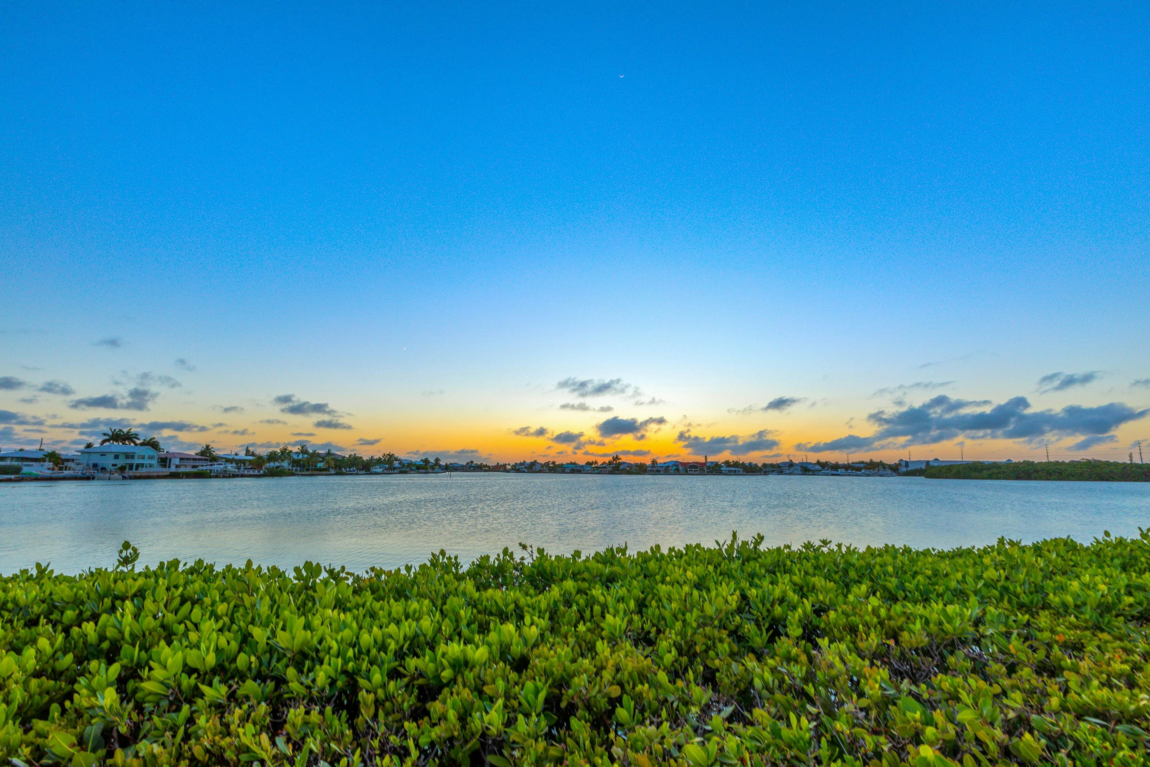 Carpe Diem - Seas The Day