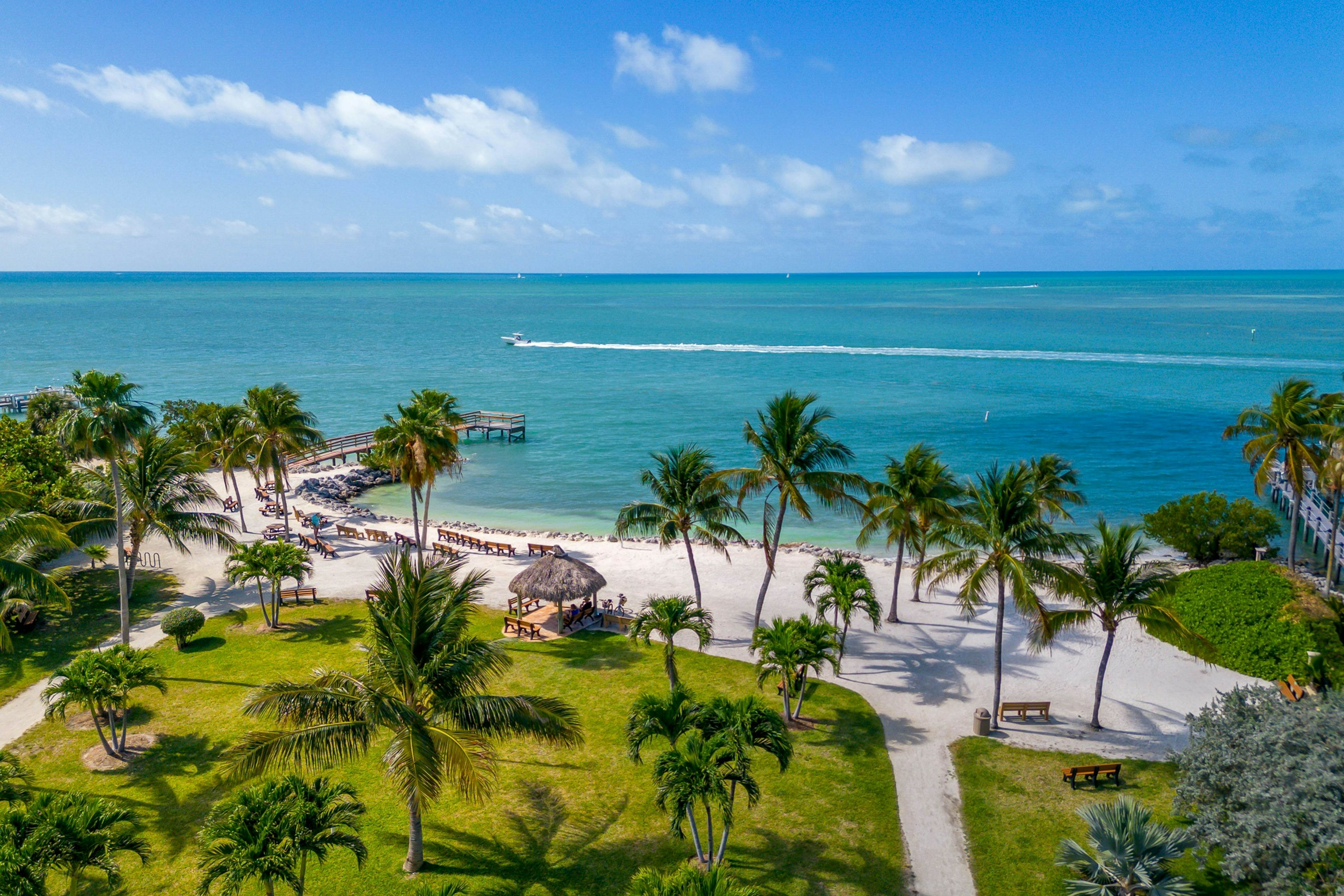 Carpe Diem - Seas The Day