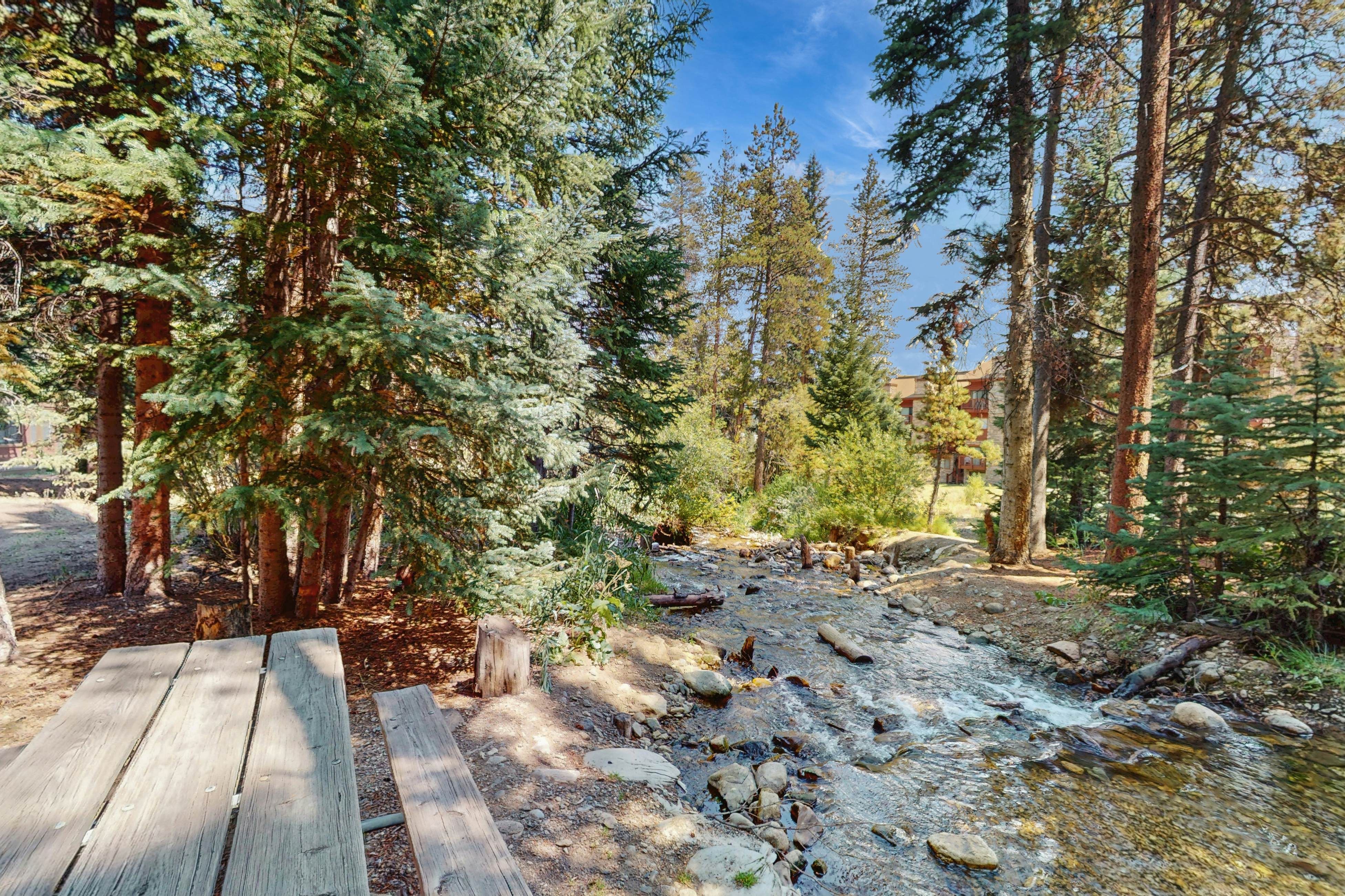 Wild and Free Condo 102